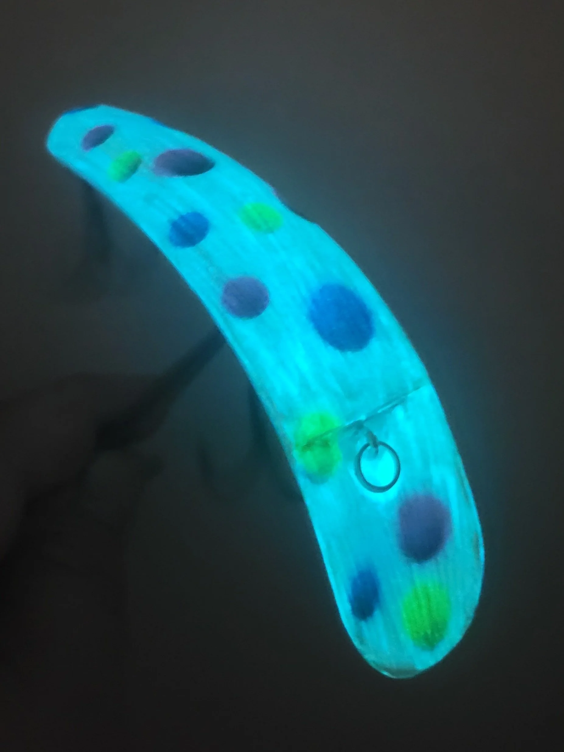 20260425_175444.jpg