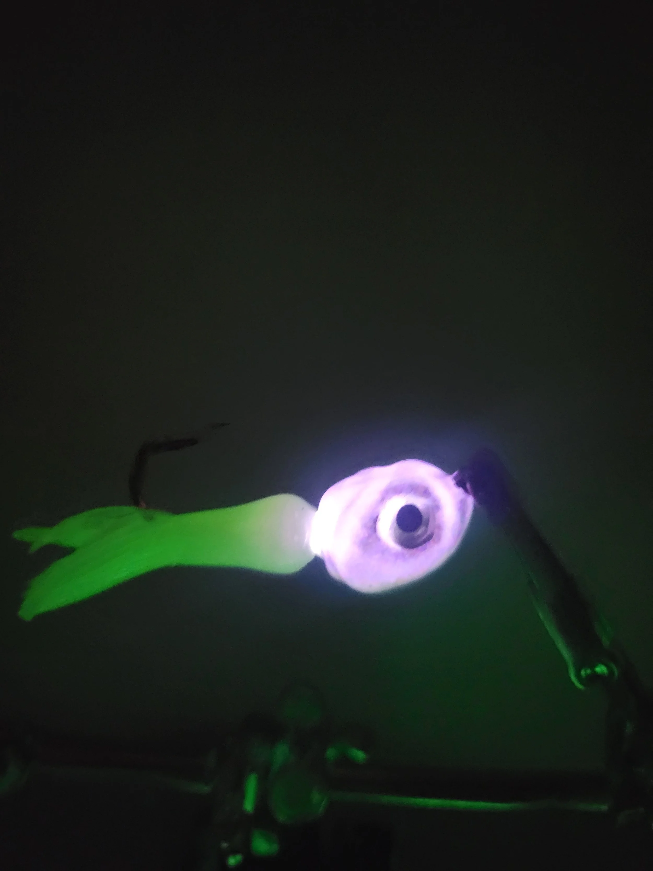 20260326_202955.jpg
