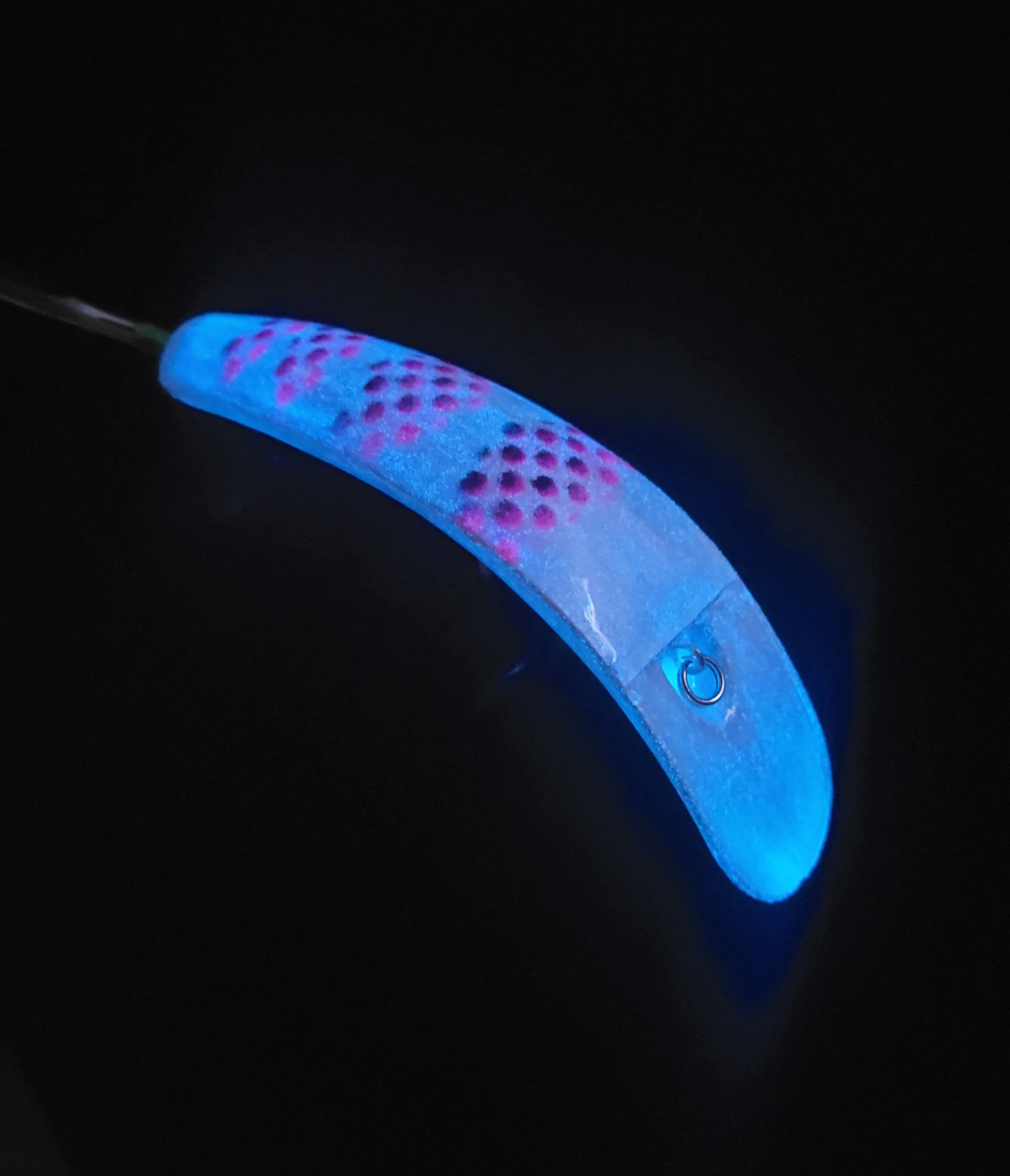 20260727_202919.jpg