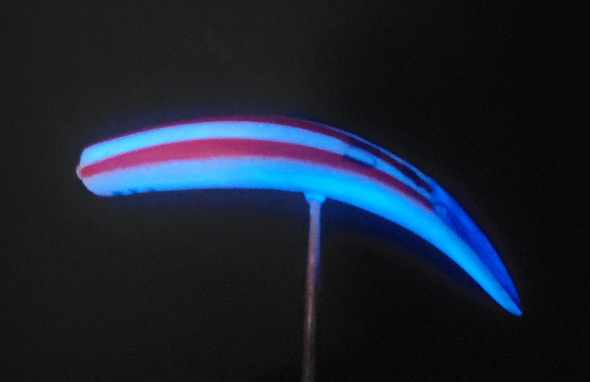 20260624_100213.jpg