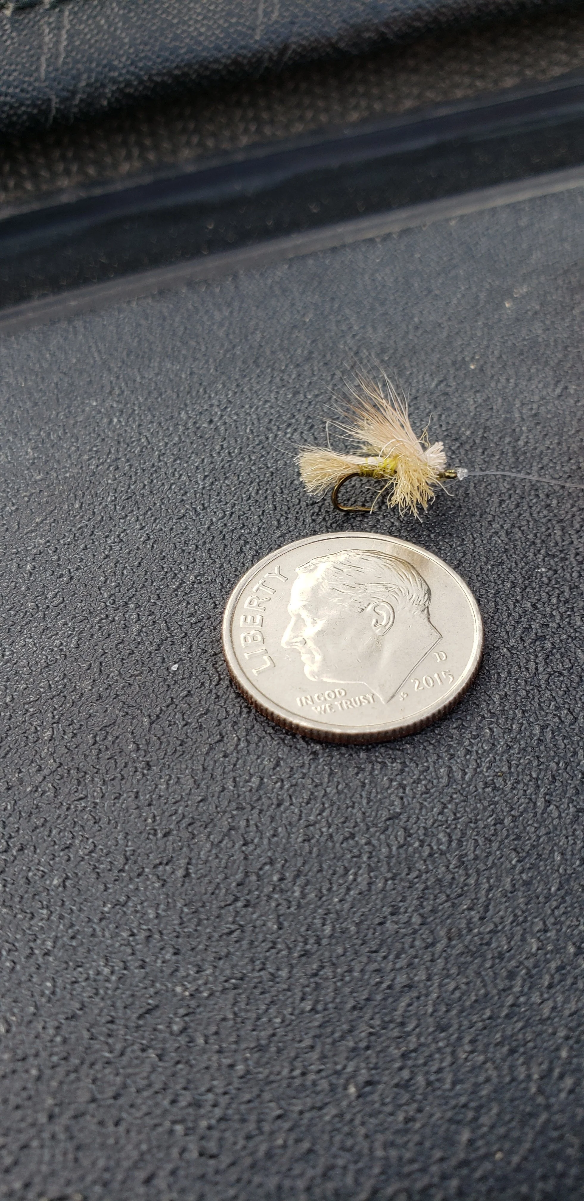 20190803_084752.jpg