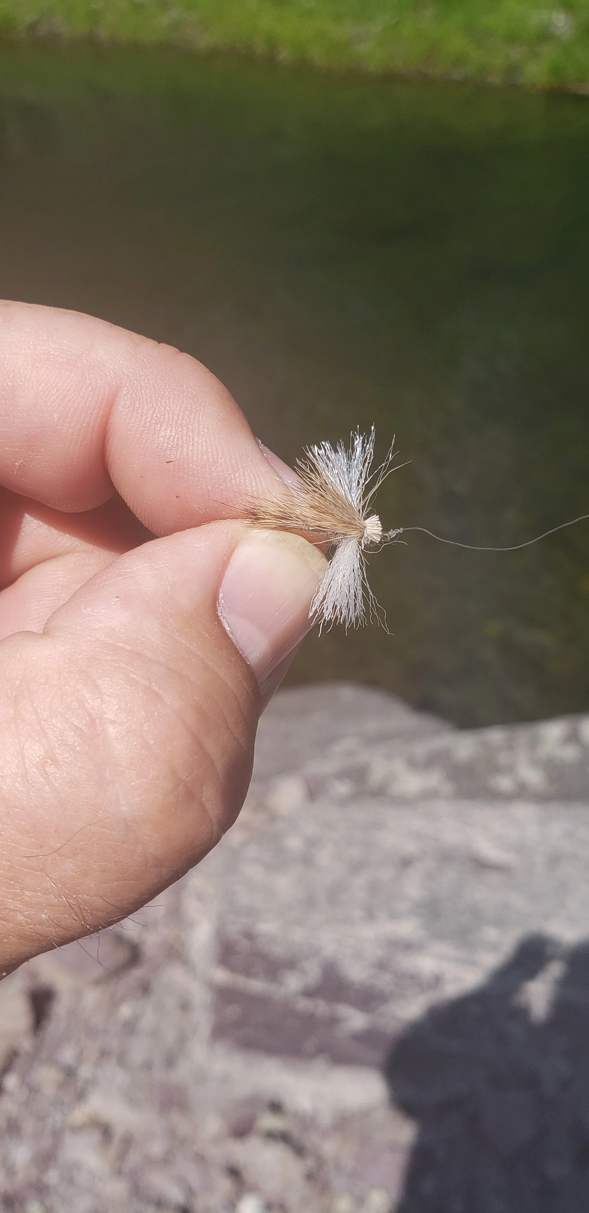20190720_121220.jpg