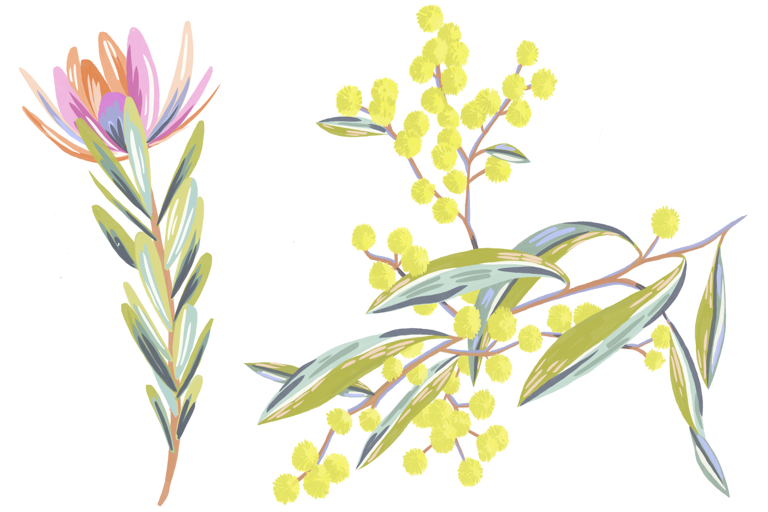 Screenshot 2026-04-13 at 10.00.46 AM.png