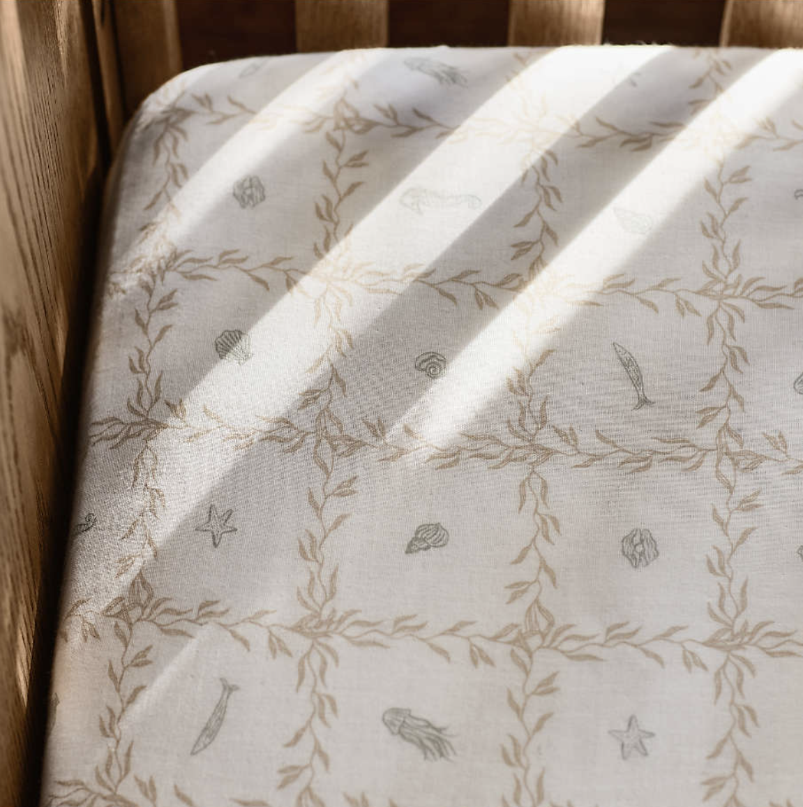 Screenshot 2026-03-13 at 6.05.50 PM.png