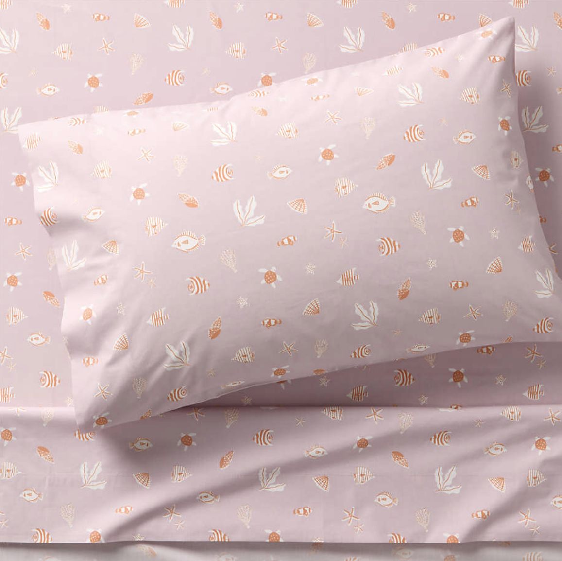 Screenshot 2026-03-13 at 6.01.34 PM.png