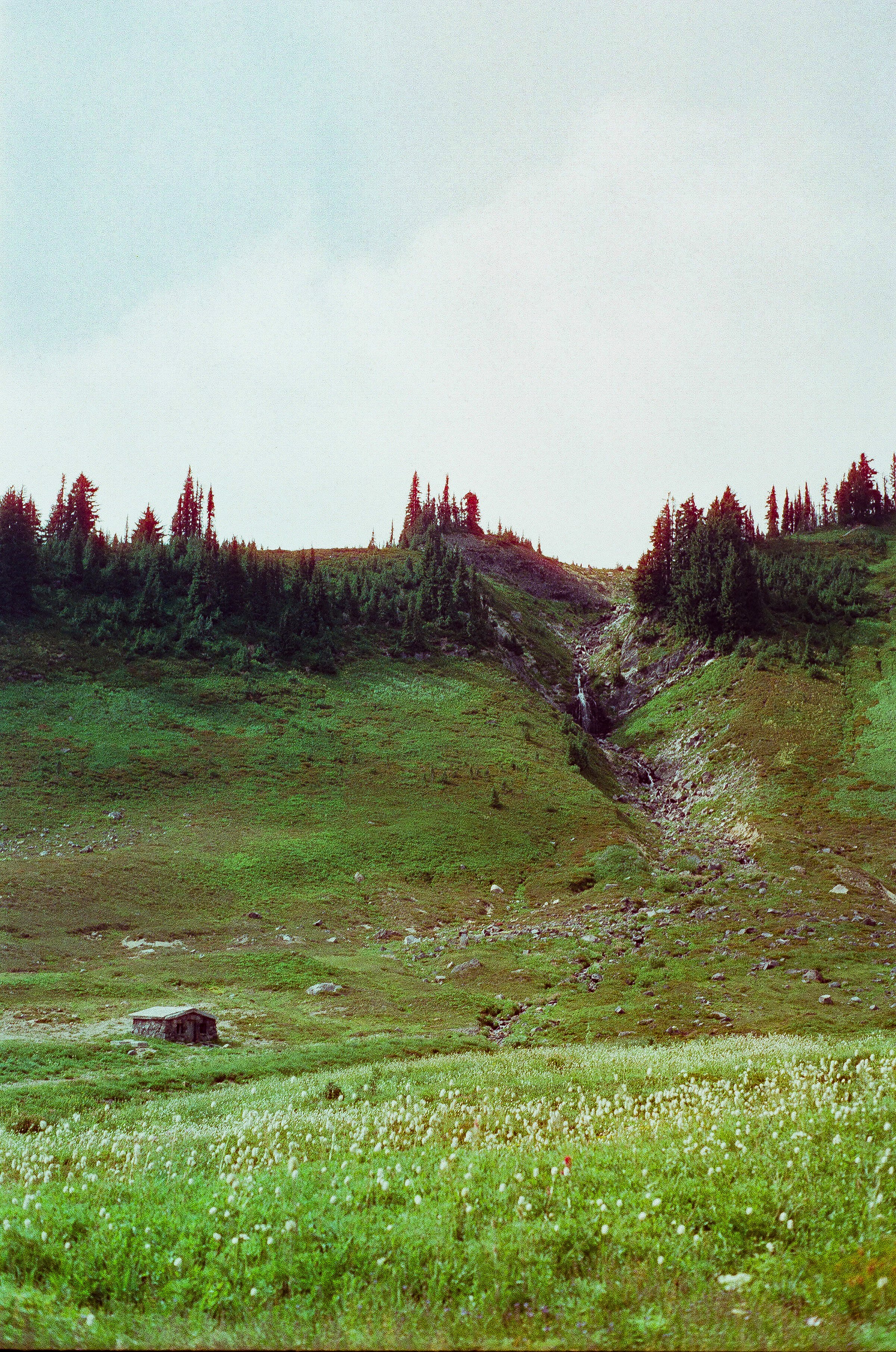 000095340025.jpg