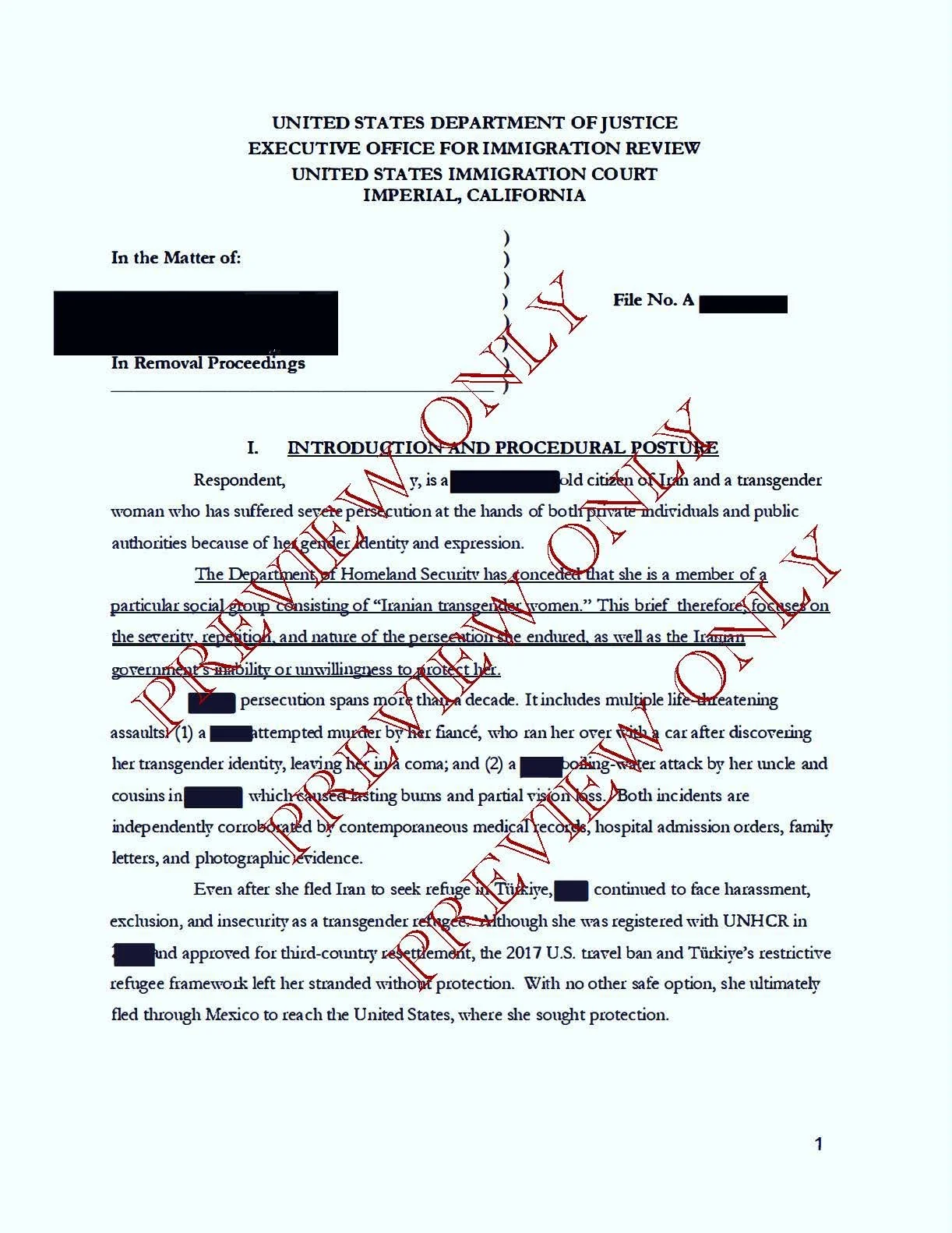 Pages from trans harm - gender identity REDACTED_Page_1.jpg