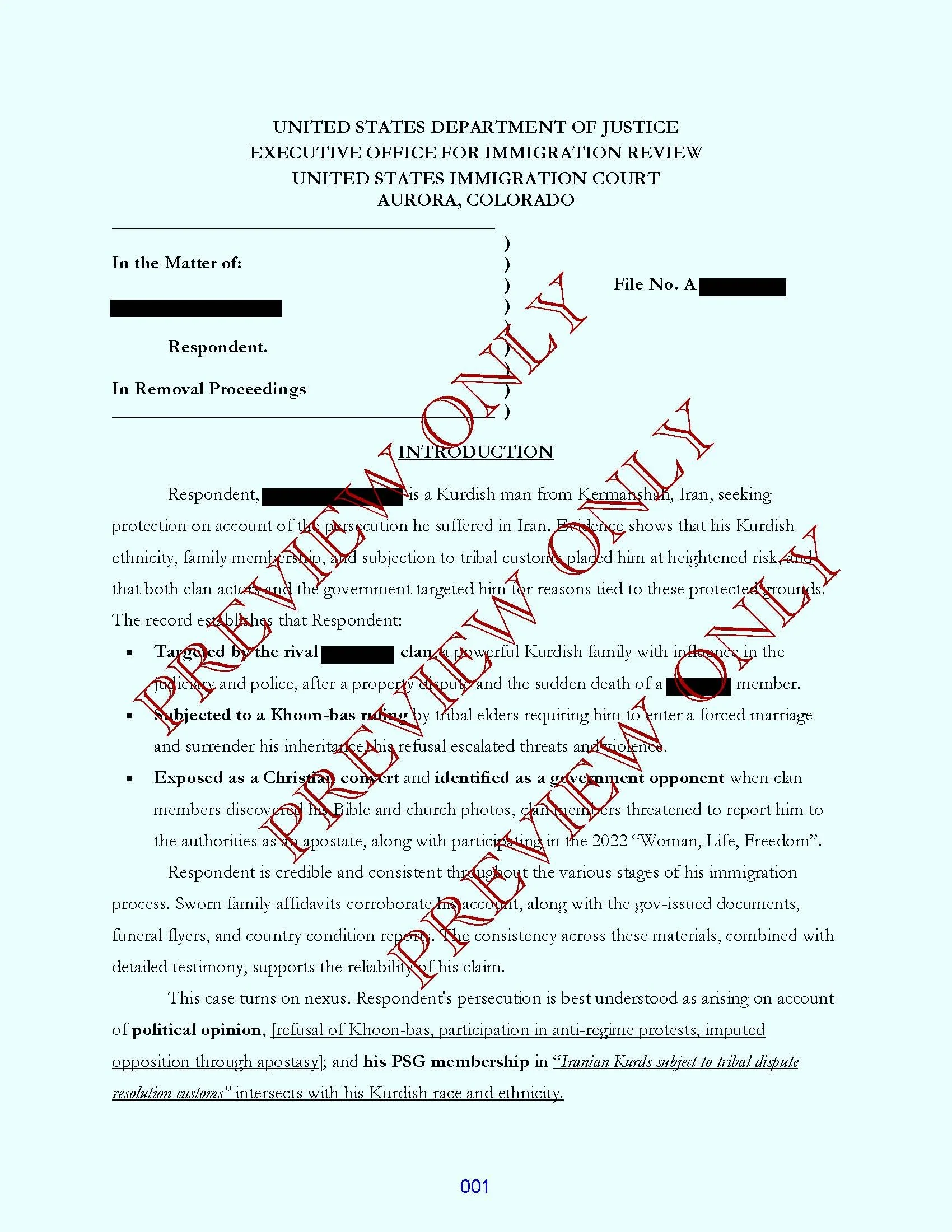 Pages from forced marriage - tribal custom - apostasy psg REDACTED_Page_1.jpg
