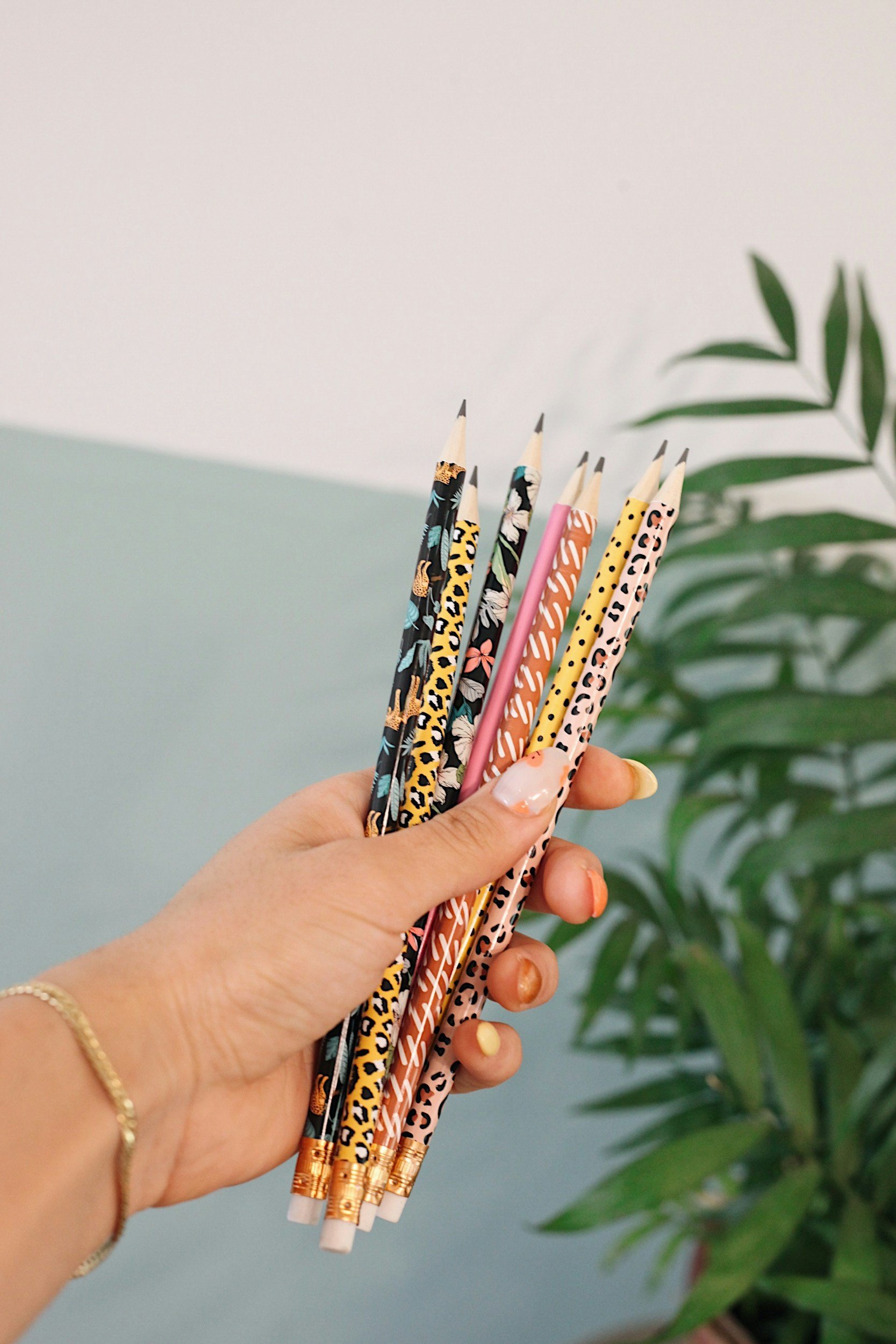 A hand holding five colorful pencils with animal print designs, against a background of a pastel-colored wall and a green leafy plant.
