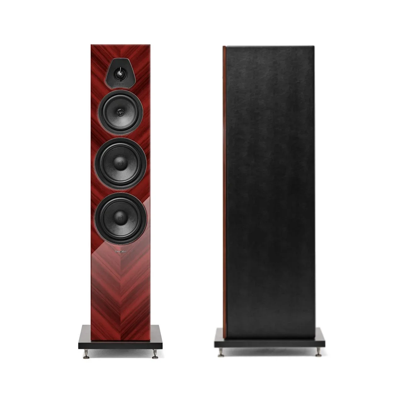 Lumina V Amator.webp