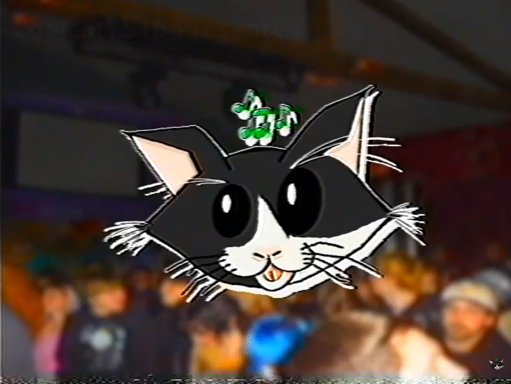 Cartoon drawing of a black and white cat with large, shiny eyes and a small pink nose, with a background of a crowd of people.