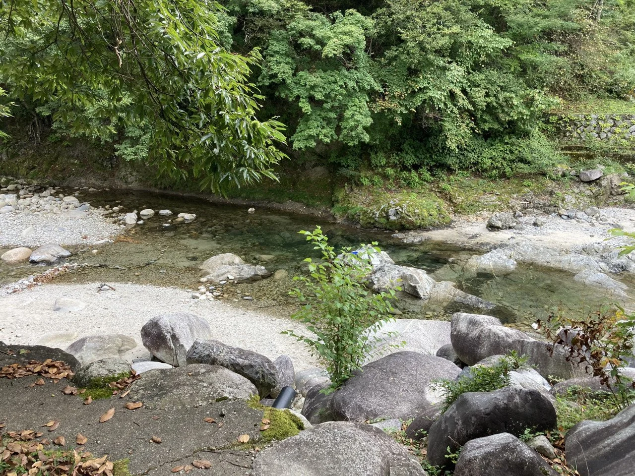 緑の木々に囲まれた小川と石の岩々。川辺に葉が散らばる自然の風景。