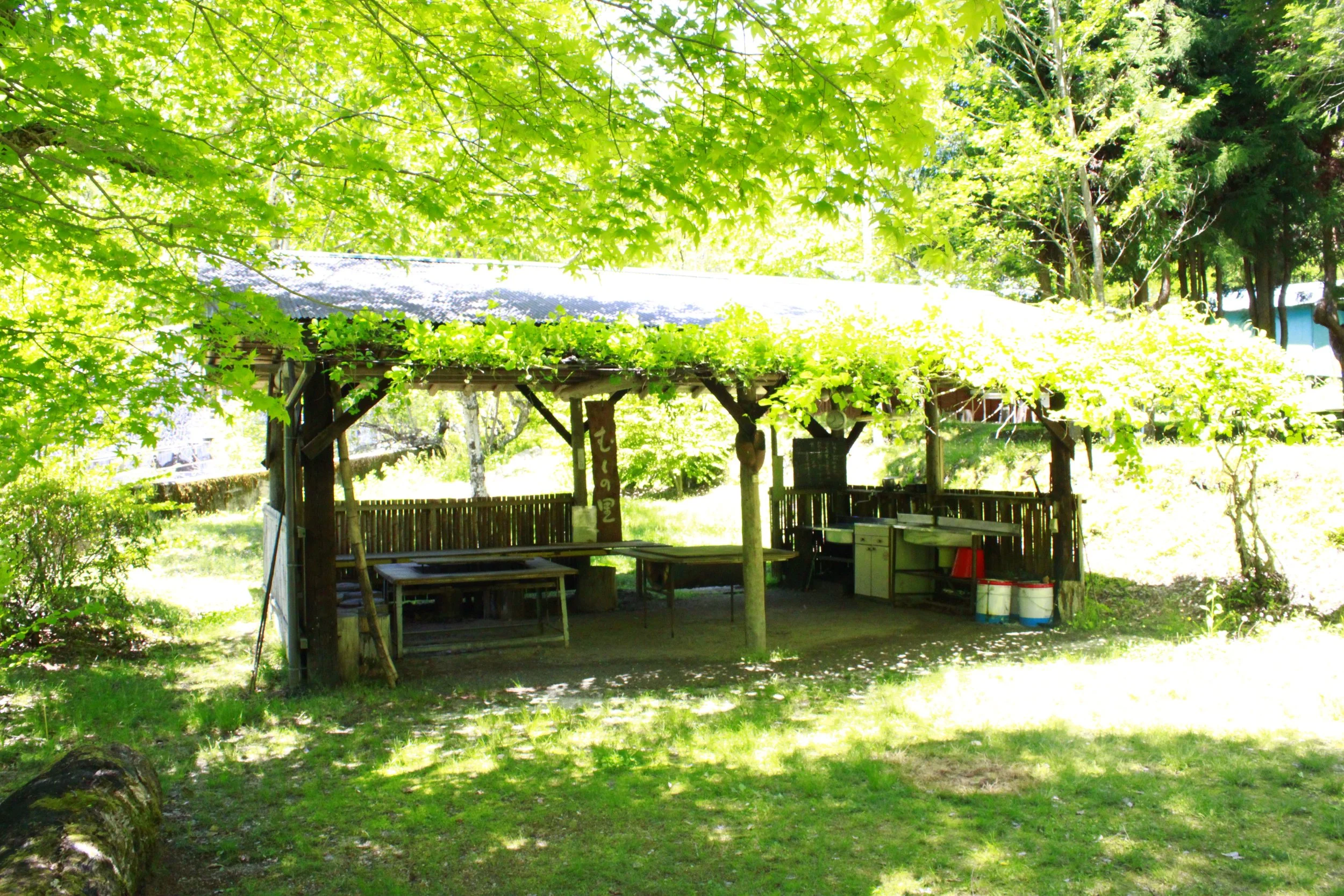 木々の緑の葉の間から日差しが差し込み、屋根のある木造の休憩所とその周りの緑の芝生や木々が見える自然豊かな風景です。