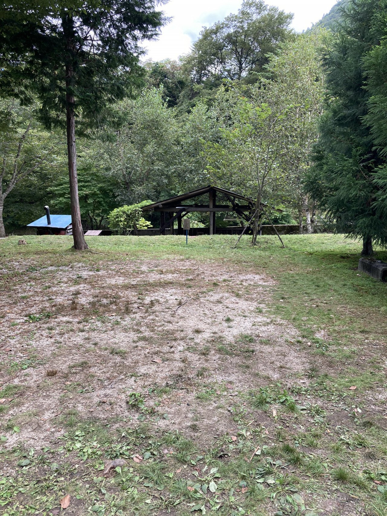 木と屋根がある小さな木造の休憩所が森の中にある風景