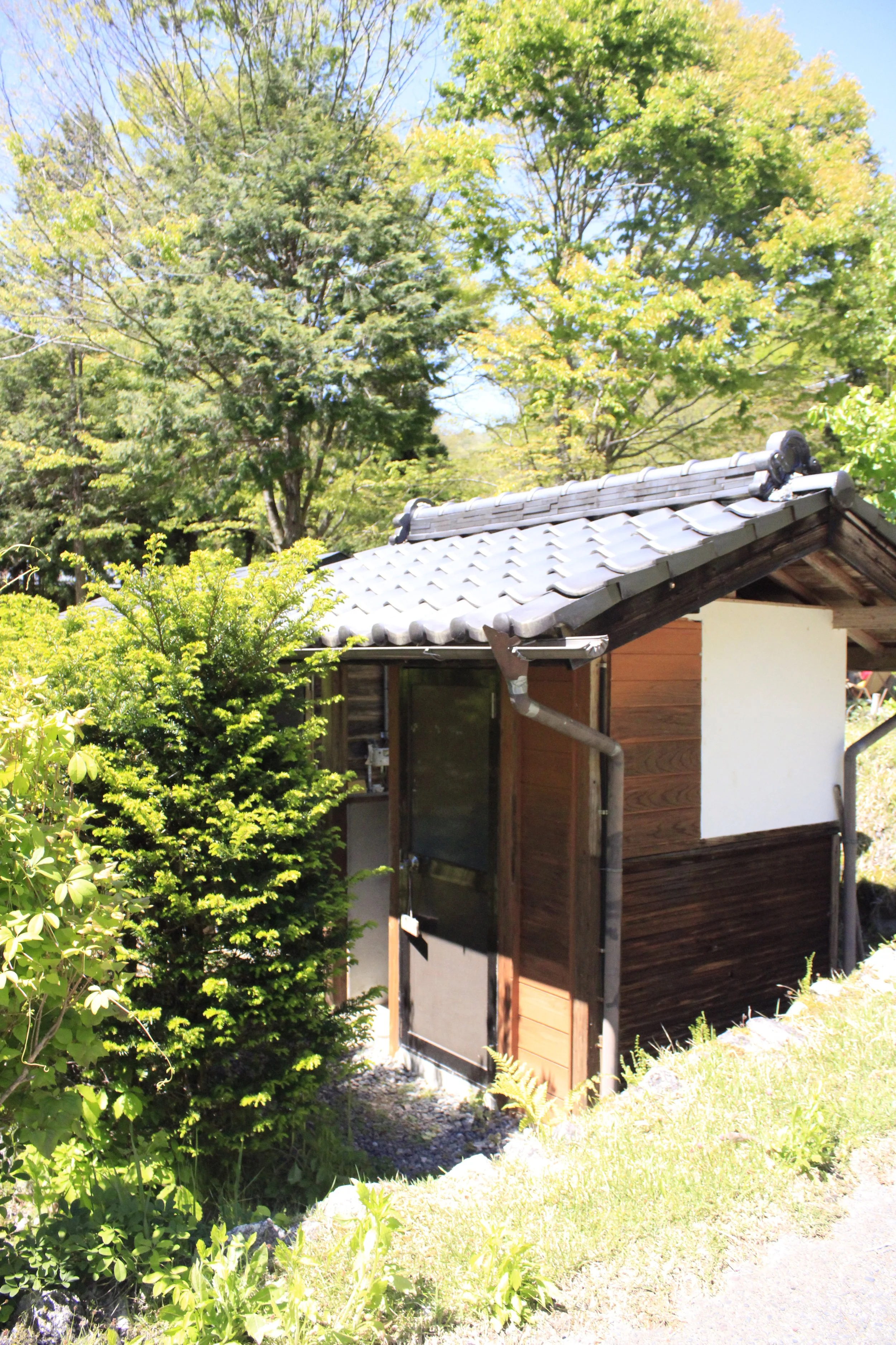 緑の木々と青空、伝統的な瓦屋根の建物の風景.