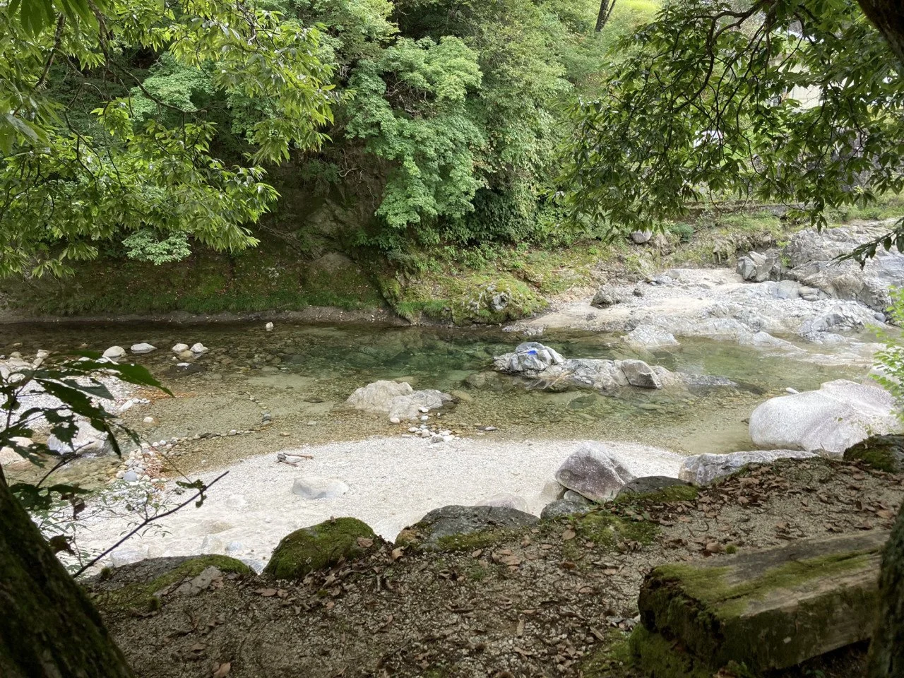 緑豊かな森の中にある小さな清流。水の流れと岩が点在し、自然の静けさを感じさせる風景。
