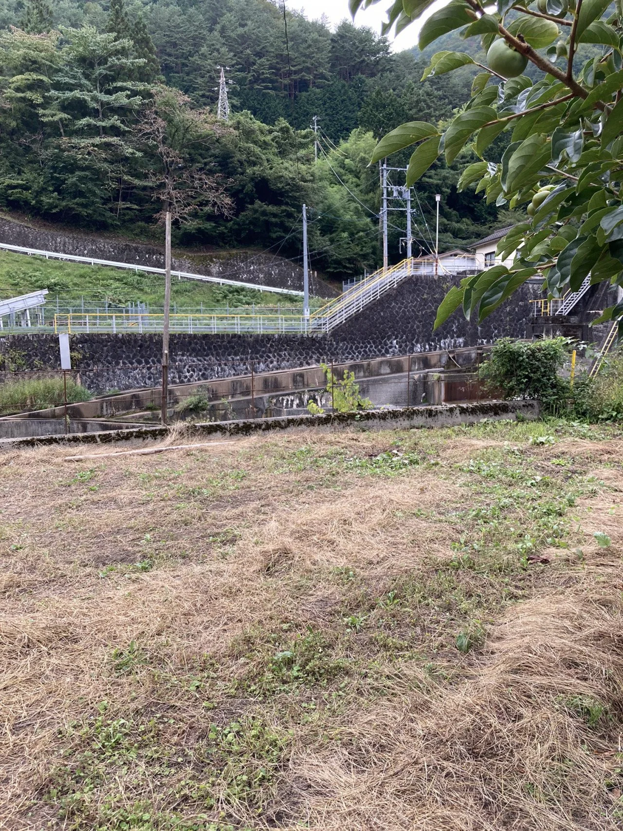 山と電柱が見える静かな田舎の風景。