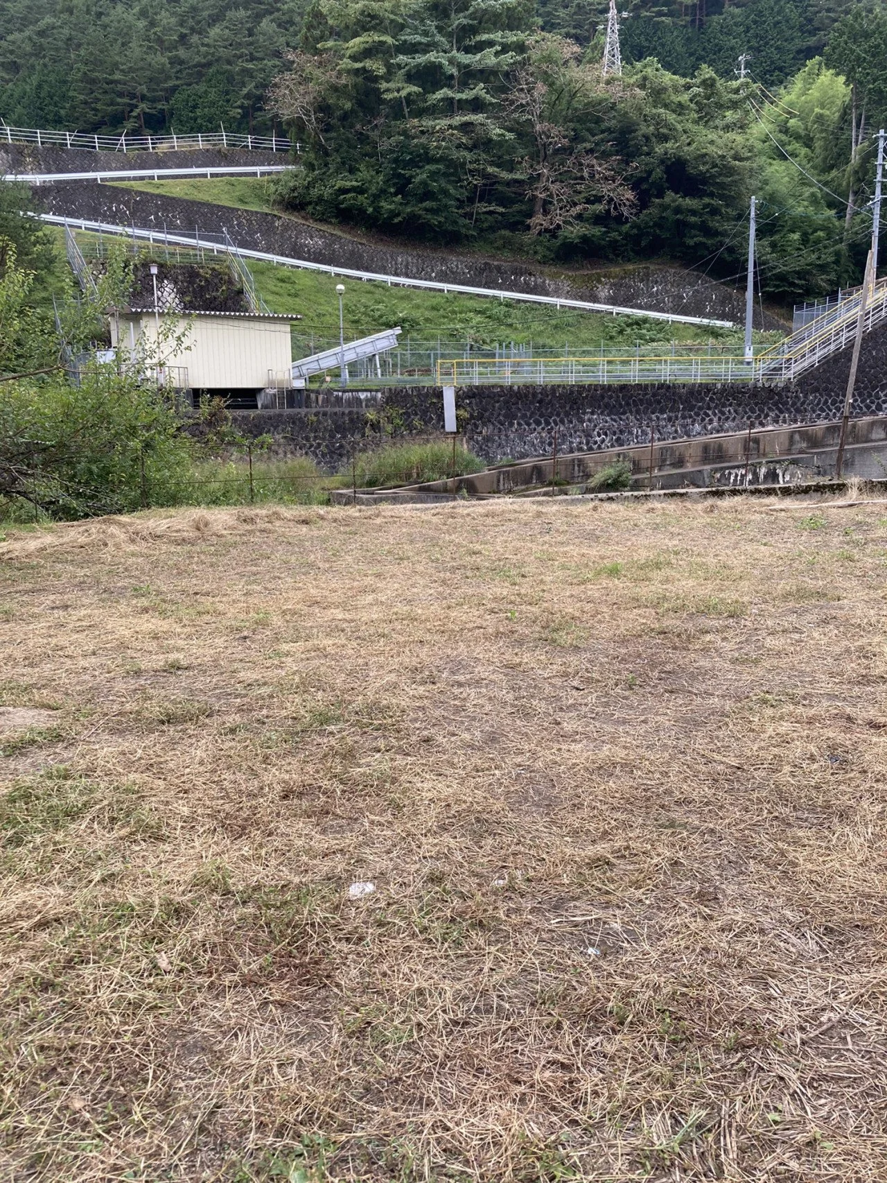 山の斜面に設置された鉄製の階段と手すり、周囲に木々が生い茂る風景