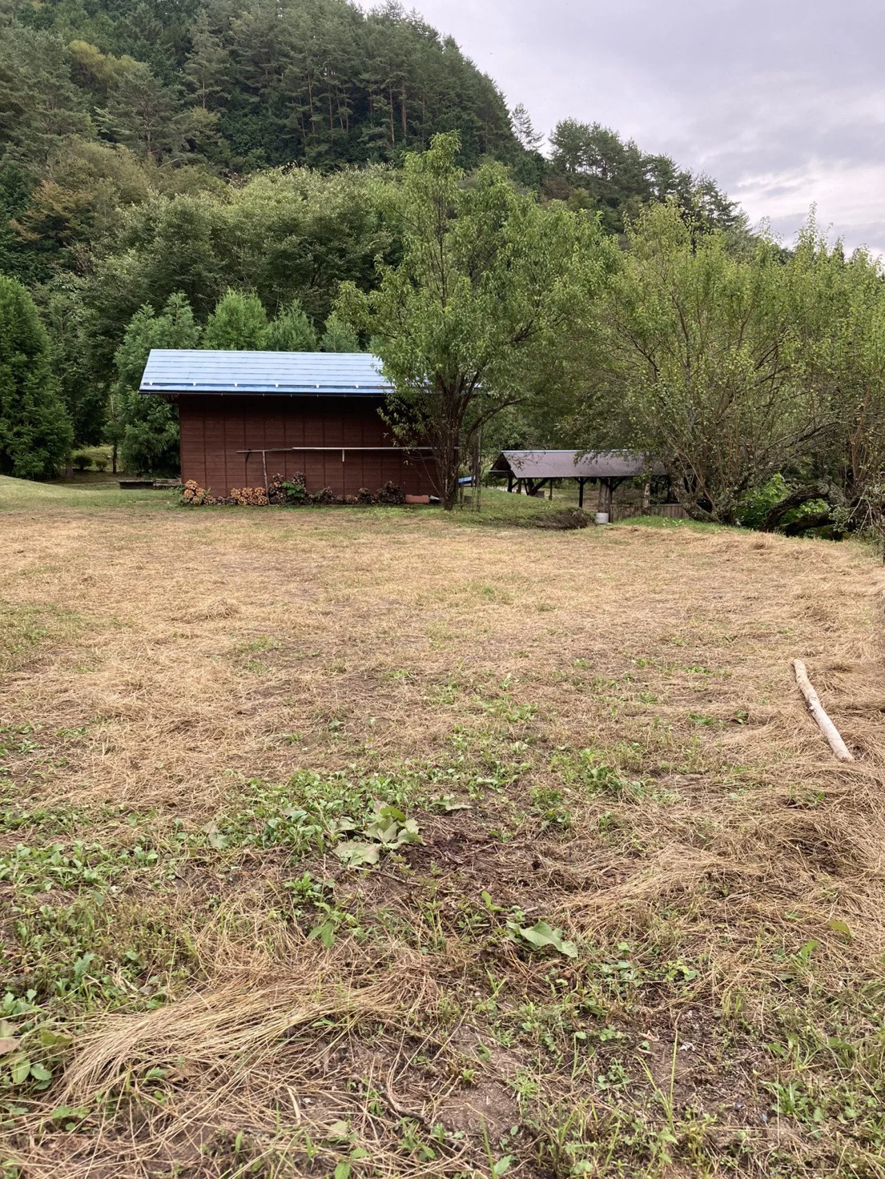山のふもとに小さな木造建物とハウスがあり、周囲には木々と草地が広がっている風景。天気は曇り。