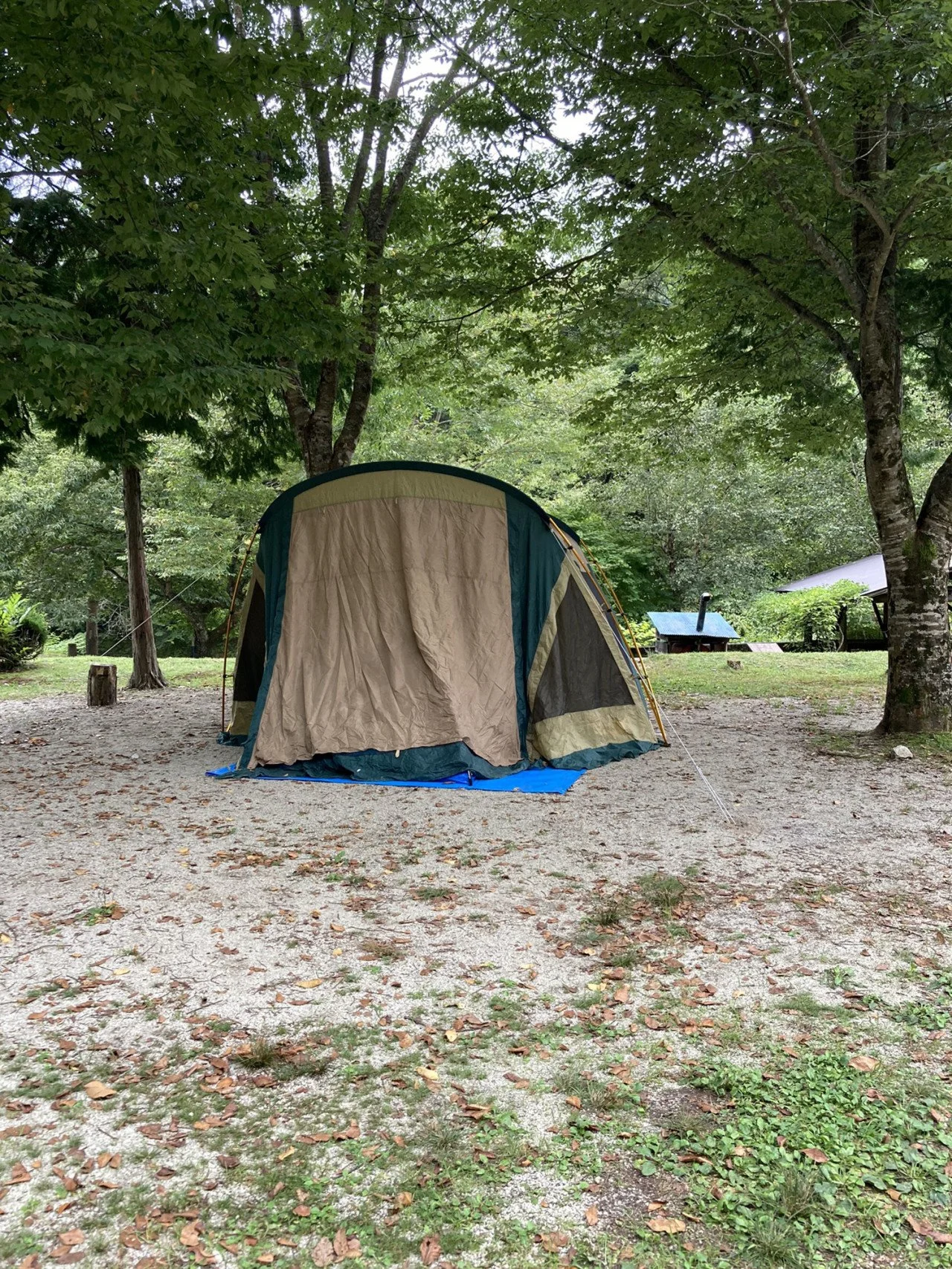 緑豊かな木々の下に設置されたキャンプ用テントと地面に敷かれたブルーのタープ。周囲には自然が広がるキャンプ場の風景。