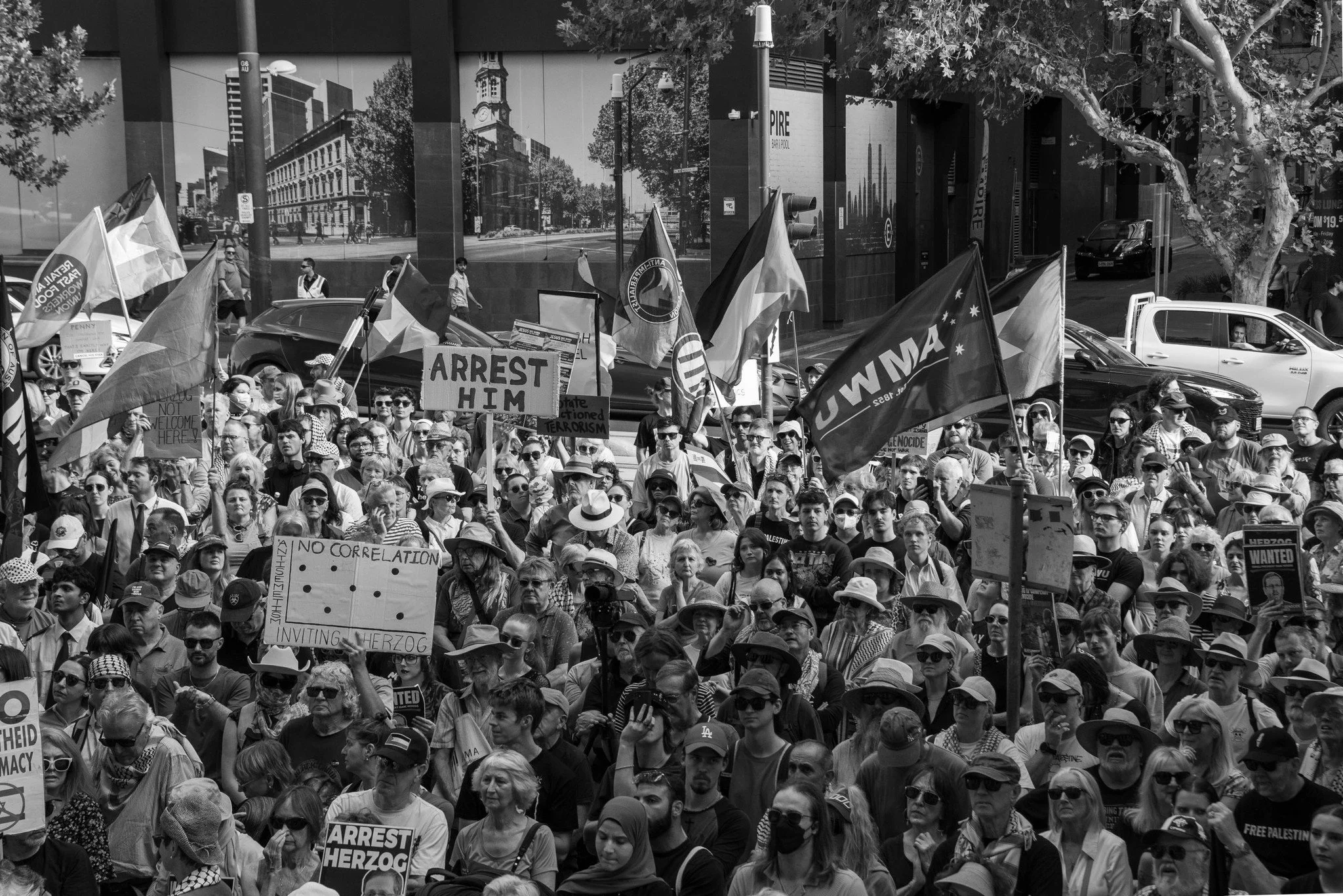 A large crowd of people participating in a protest or rally on a city street, holding various signs and flags, in front of a modern building with reflective windows and trees lining the street.  Image taken by Vicky Dennison.