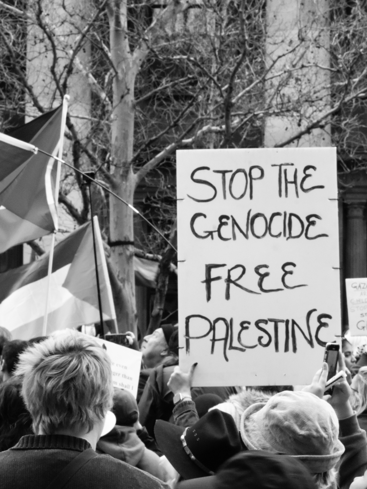 A protest gathering with people holding a large sign that reads 'Stop the Genocide, Free Palestine' amidst flags and banners. Image taken by Vicky Dennison.