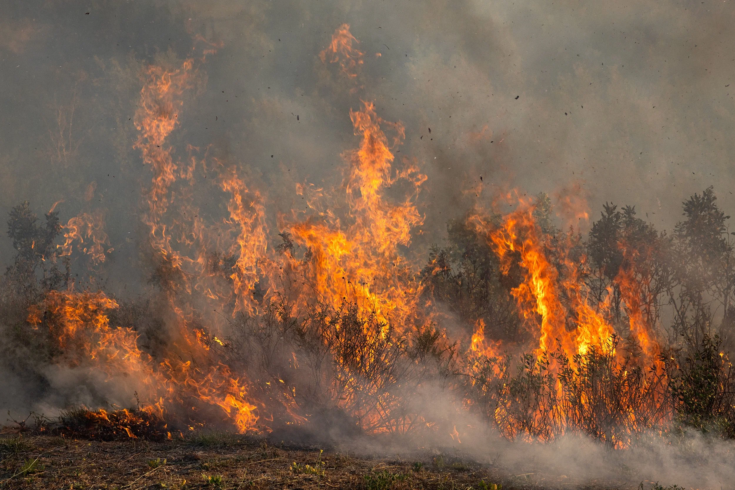 Sandy_Fire_BF_108.JPG