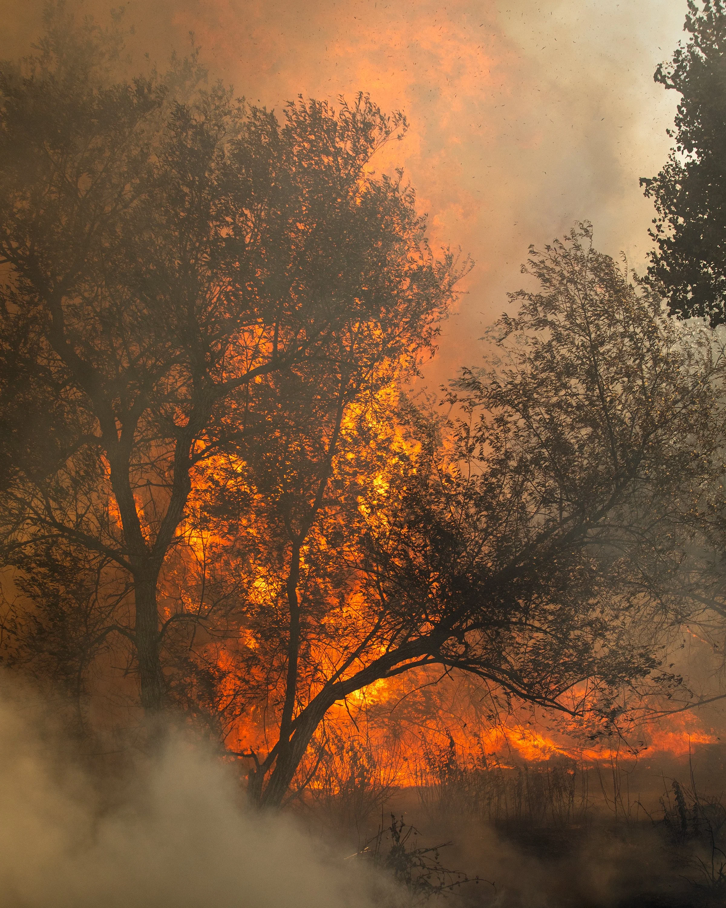 Sandy_Fire_BF_153.JPG