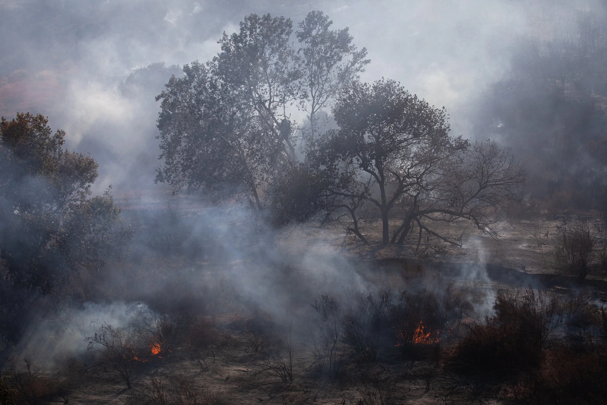 Sandy_Fire_BF_155.JPG