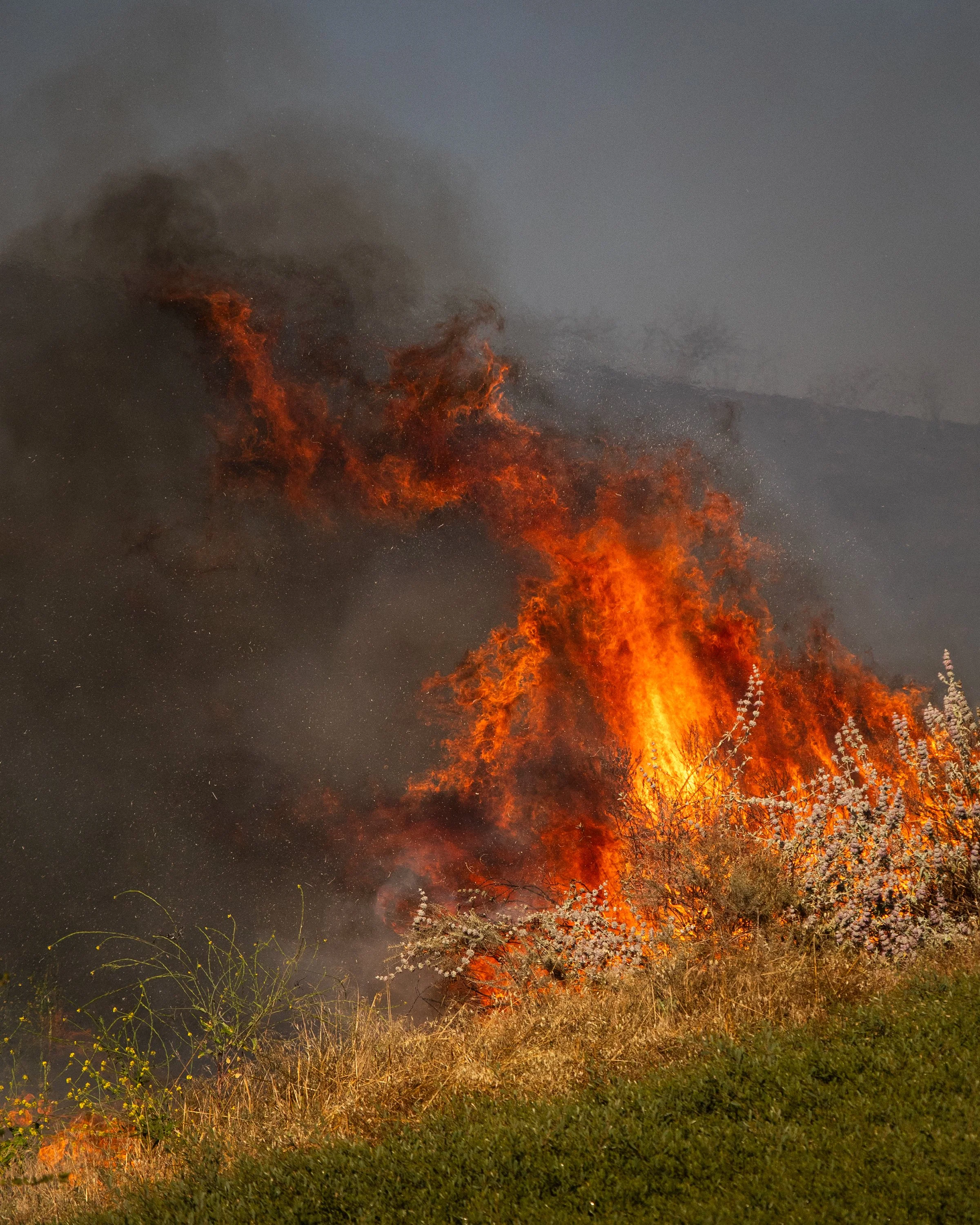 Sandy_Fire_BF_158.JPG