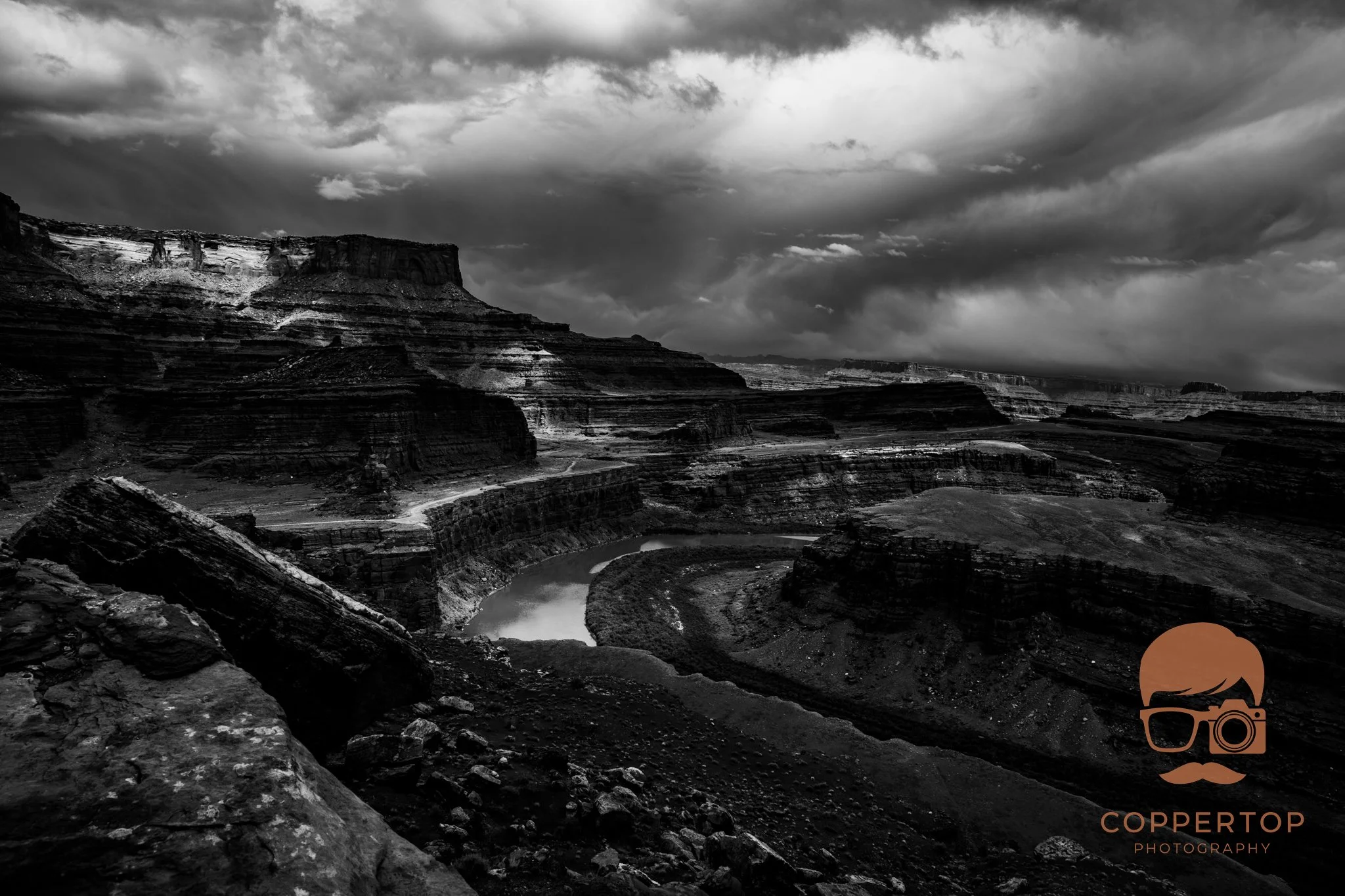 DSC_0781.jpg