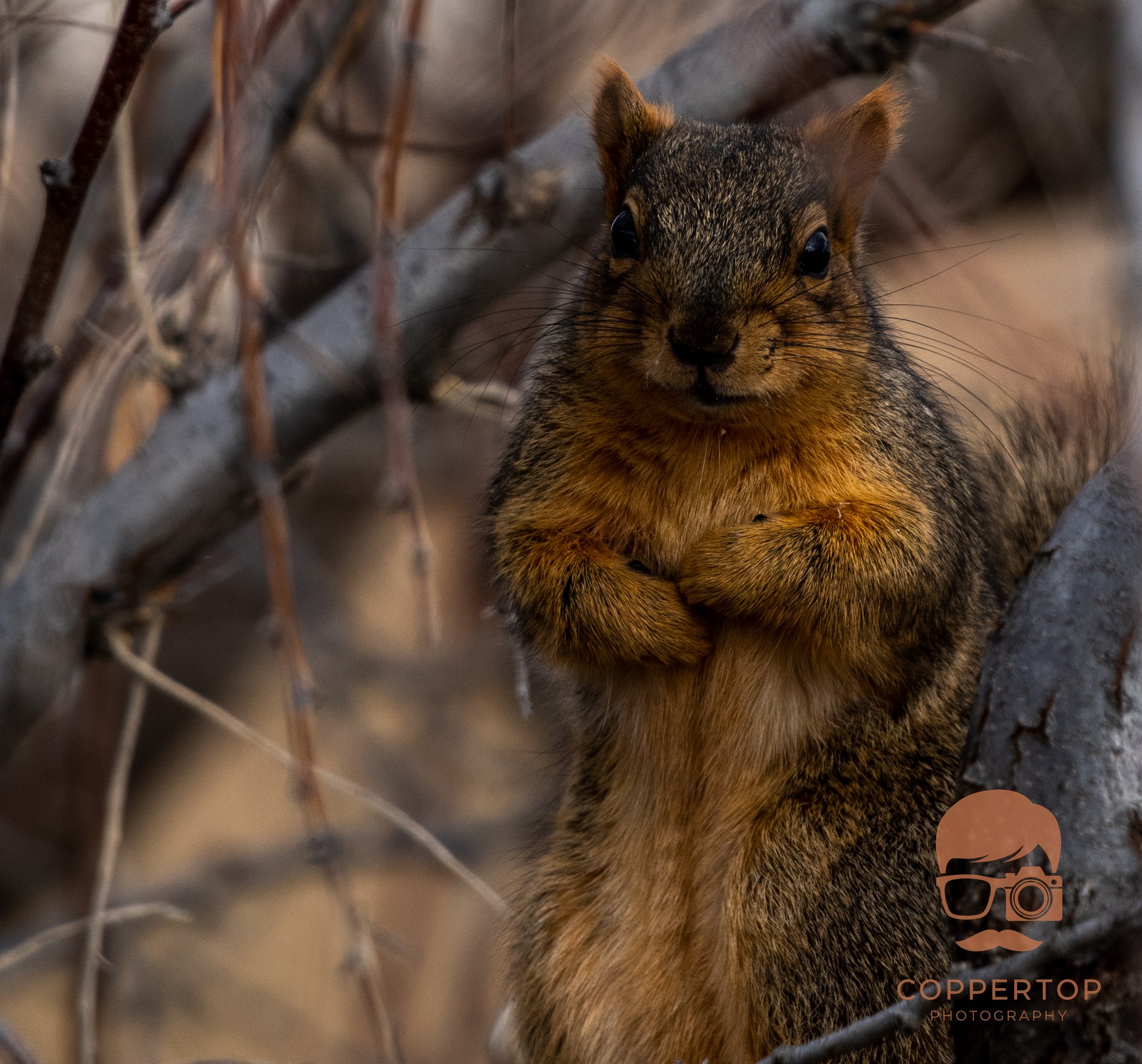 DSC_9137.jpg