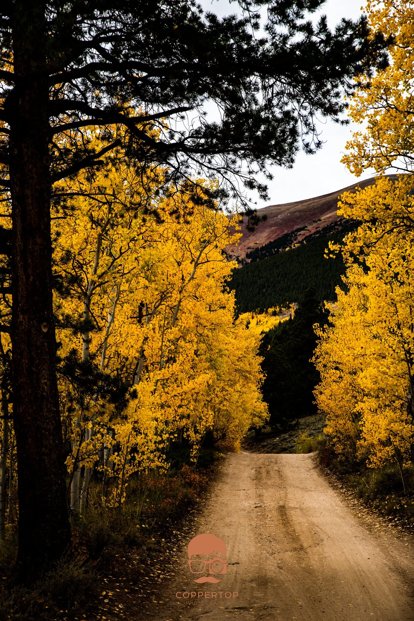 Fall Backroads