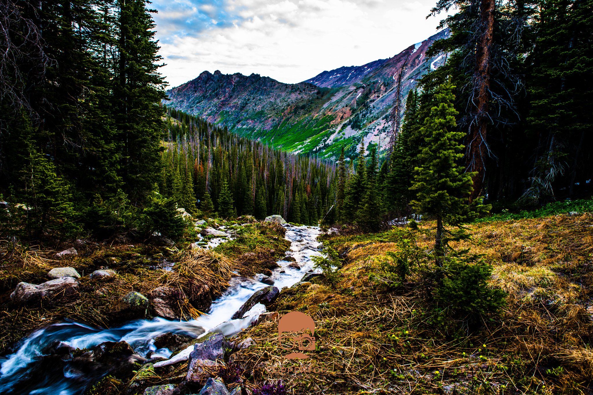 DSC_0874.jpg