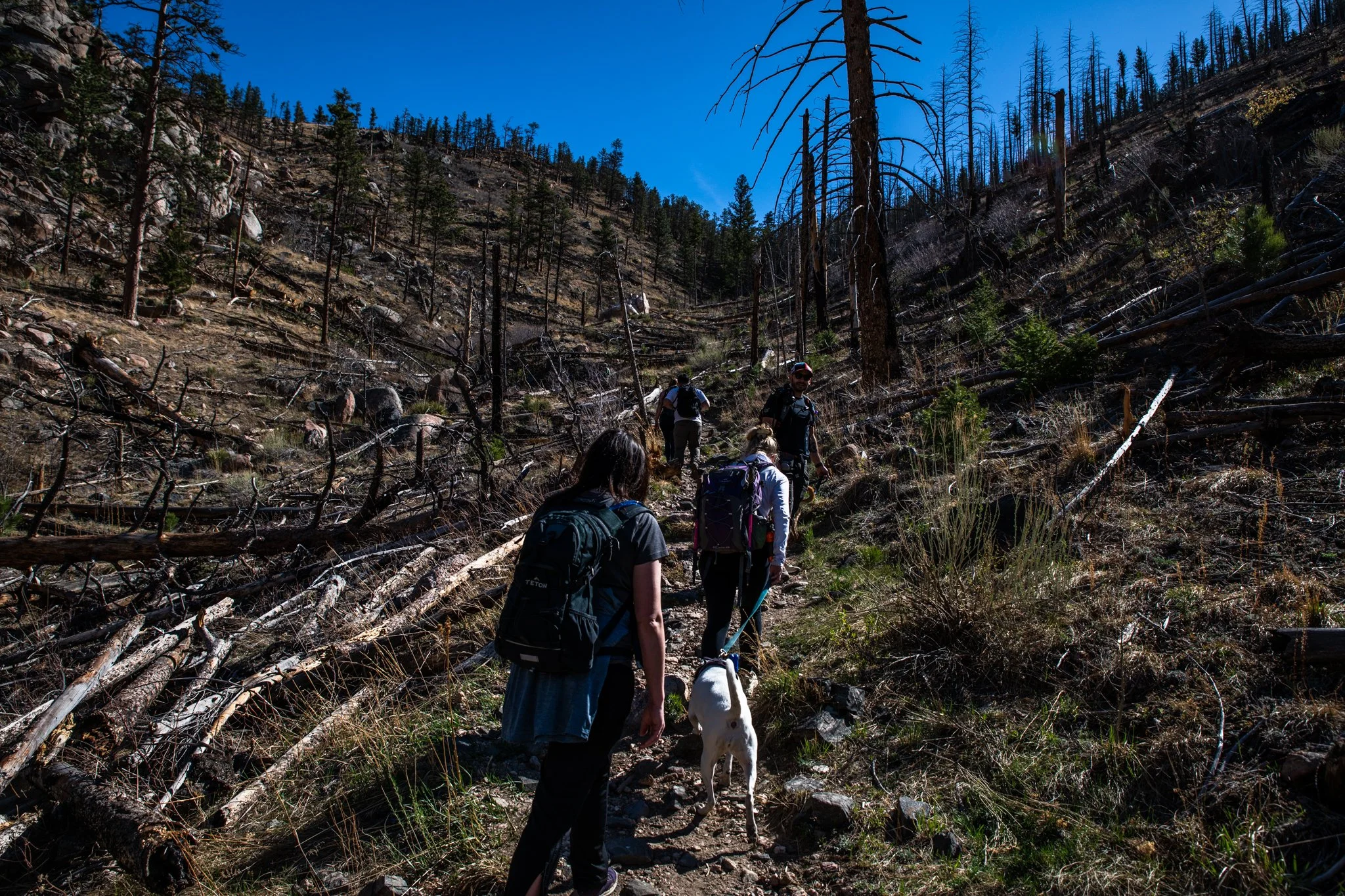 DSC_0270.jpg