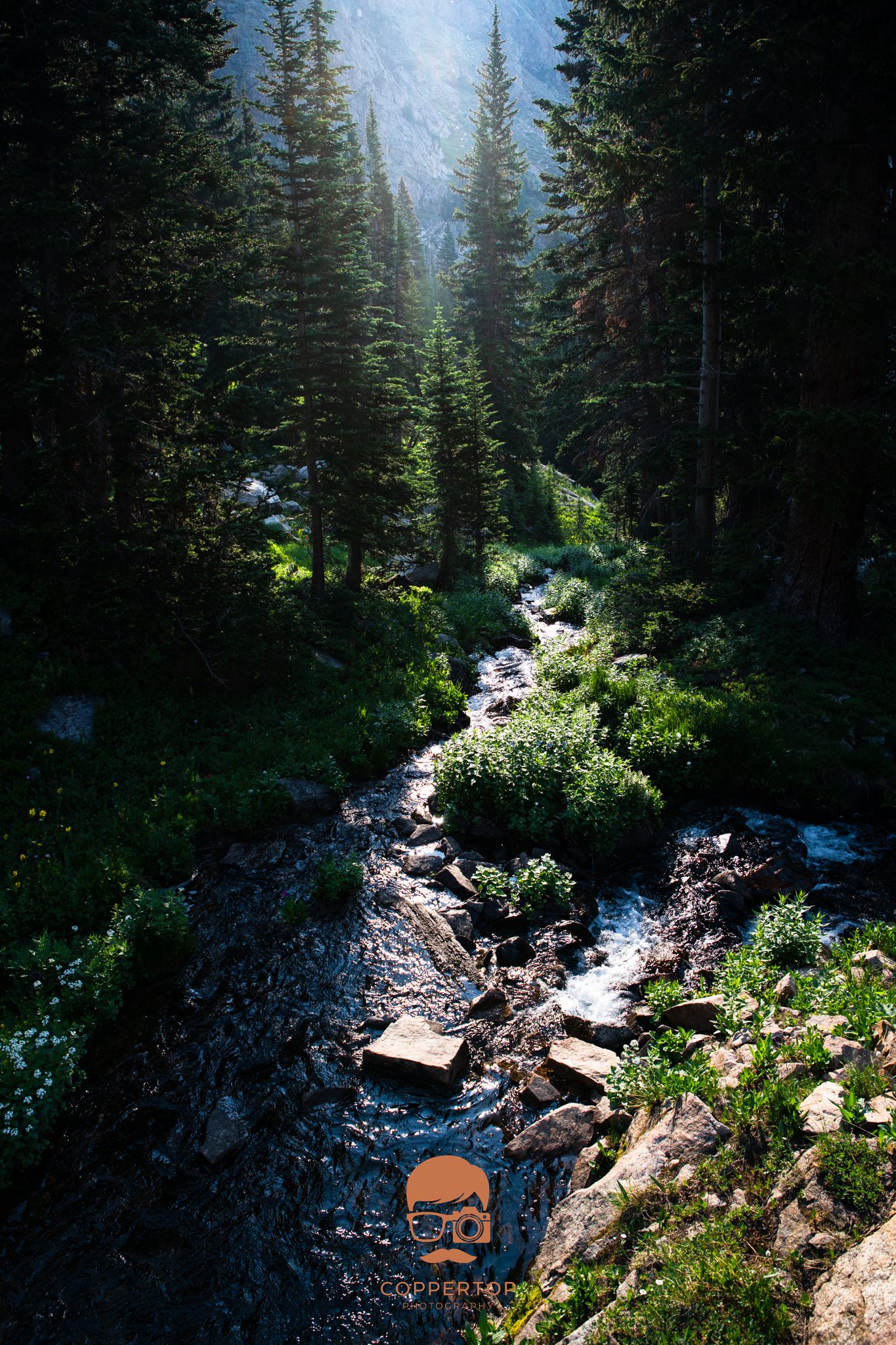 DSC_1152.jpg