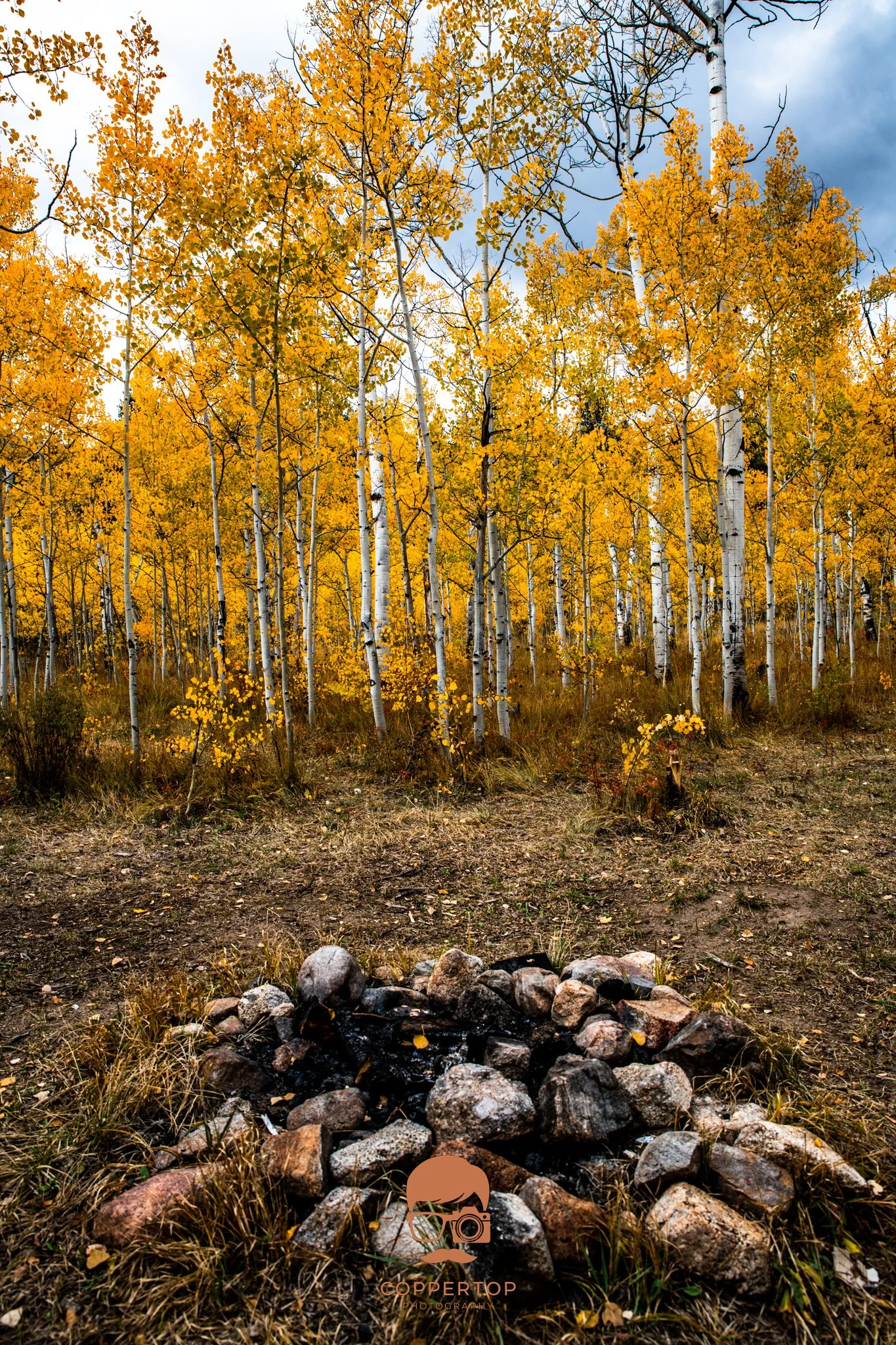 Still Campsite