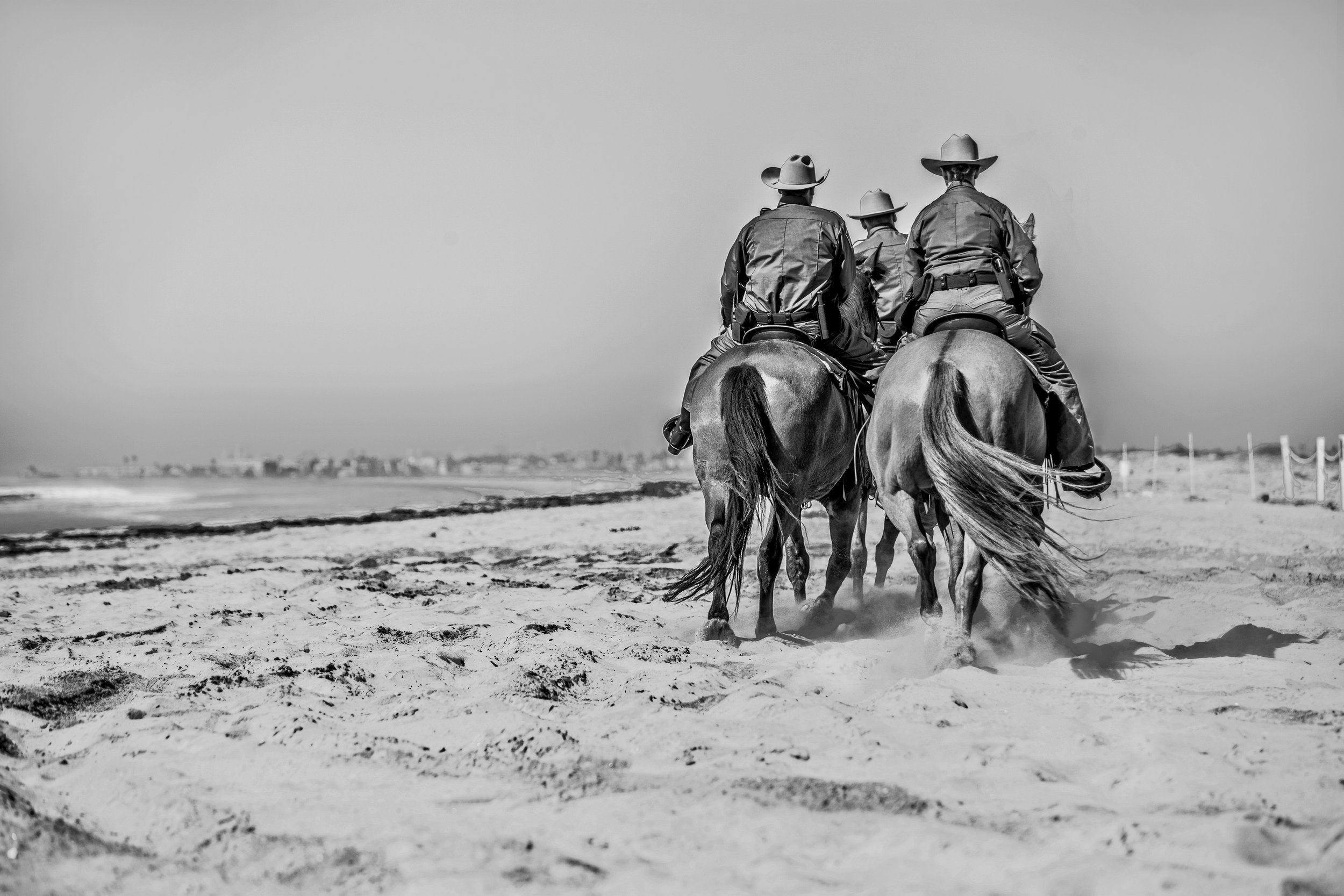 final_cbp_bw_2025_3_horses-Editcopy.jpg