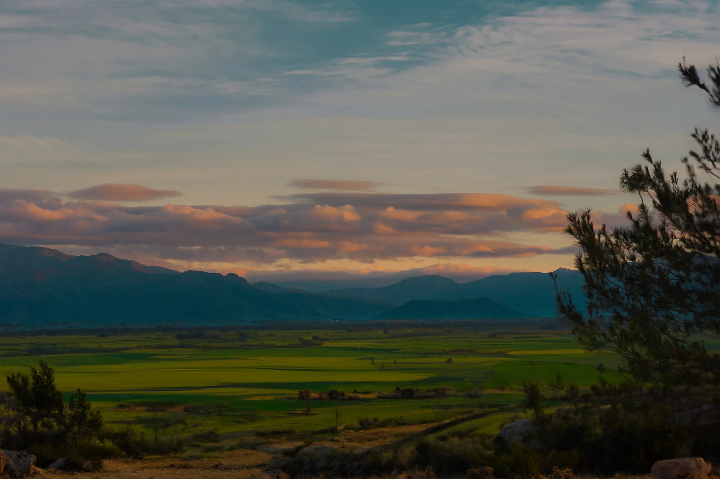 jalisco state valley russell rutherford.jpg