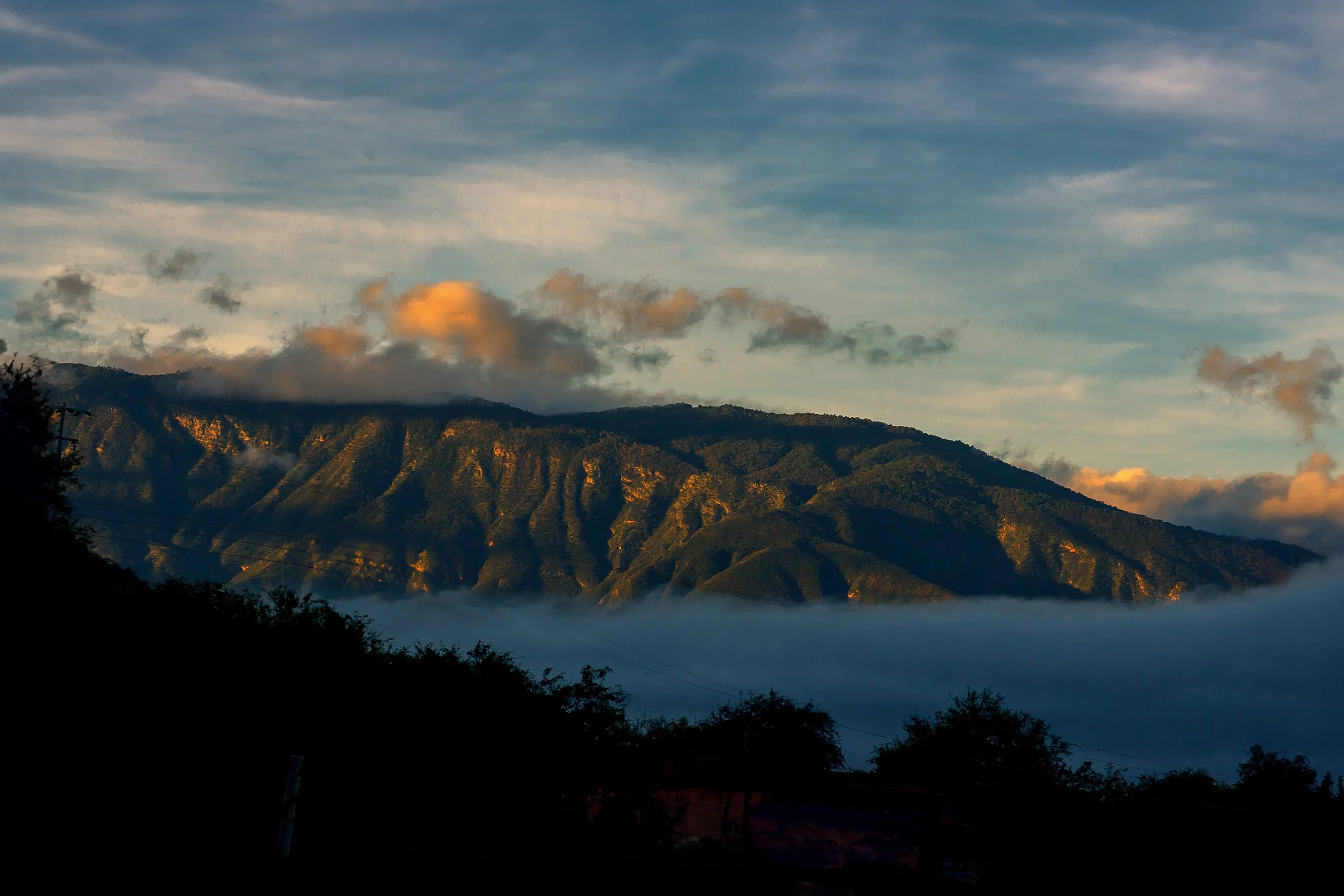 jalisco state landscape.jpg