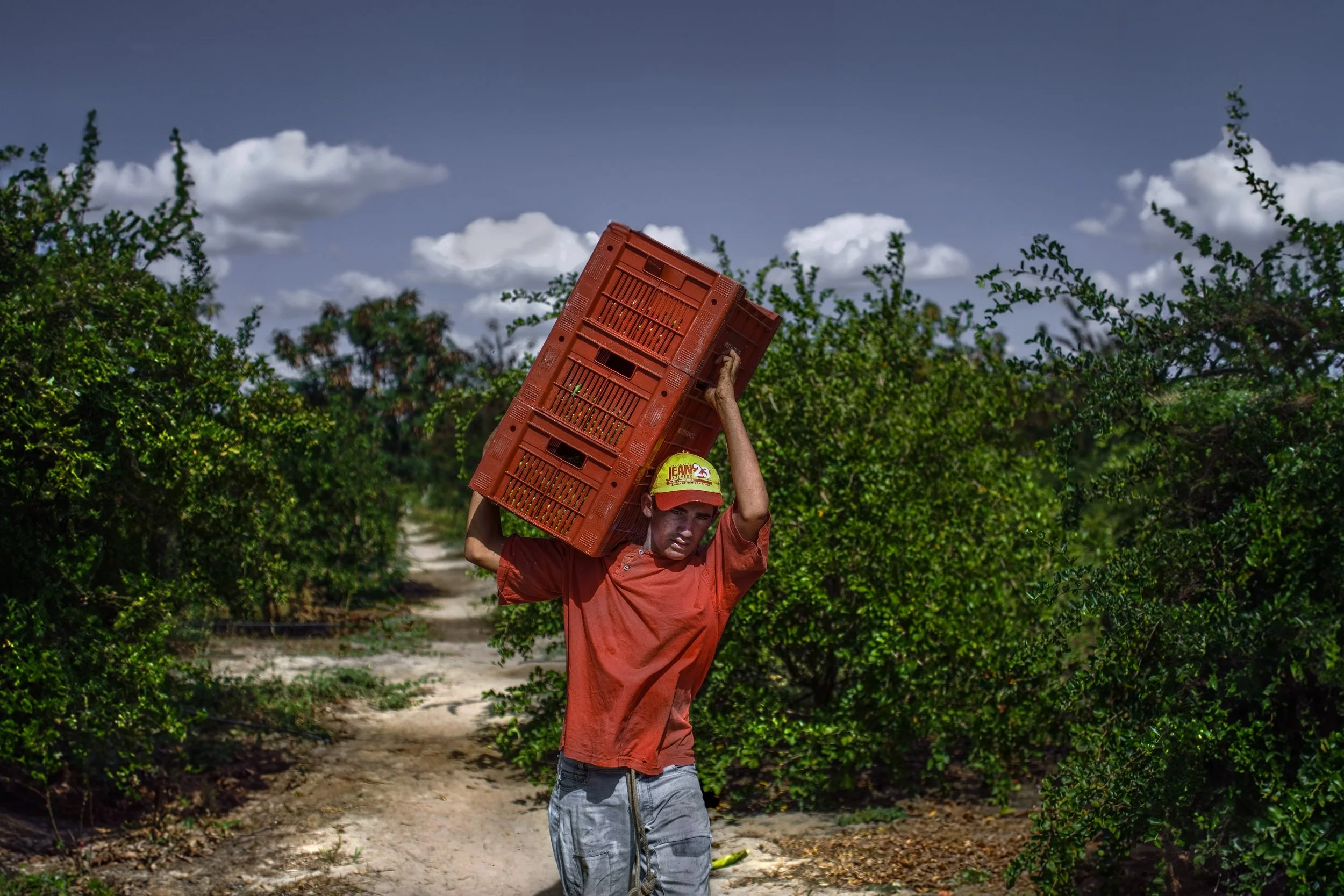mexico-brazil-organic-farm-worker-award-winning-russell-rutherford-27.jpg.jpg