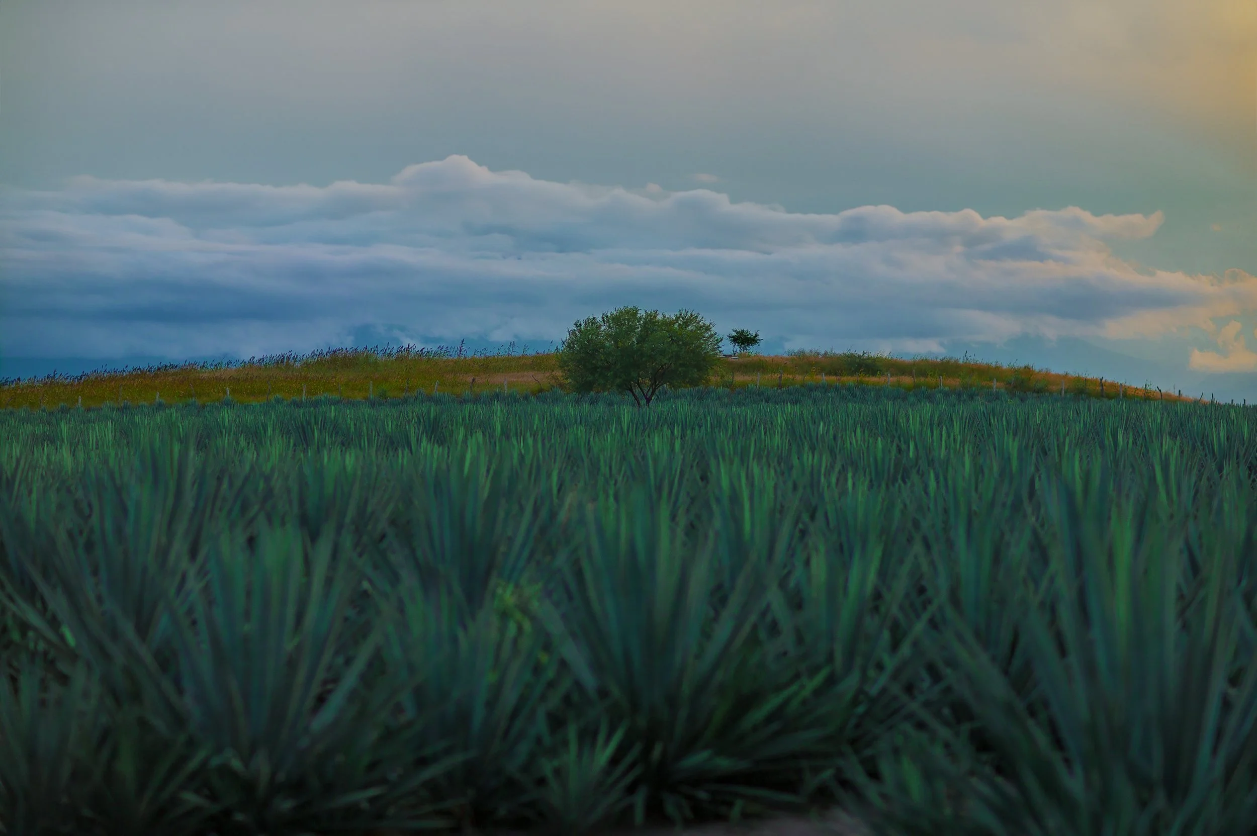 Paisajes de Jalisco