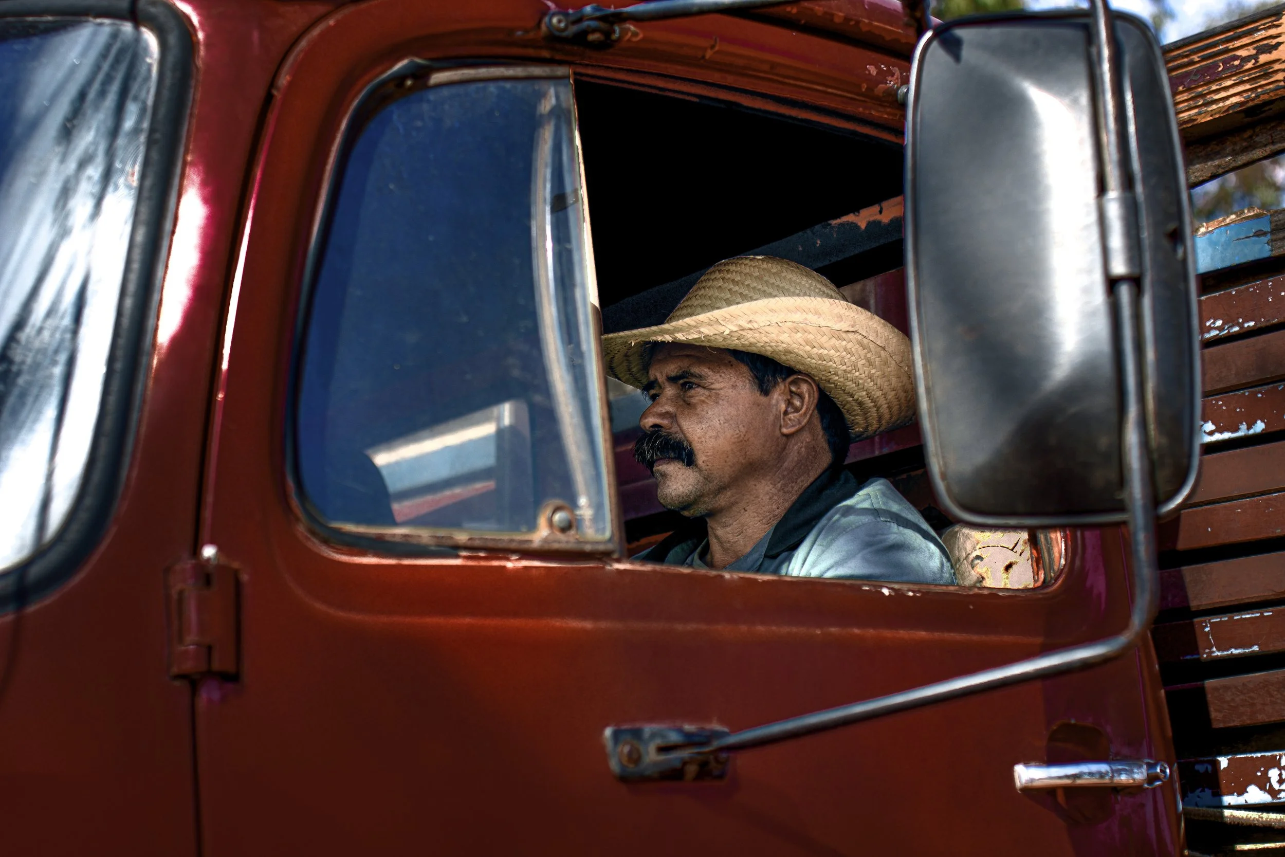 mexico-brazil-organic-farm-worker-award-winning-russell-rutherford-7.jpg.jpg