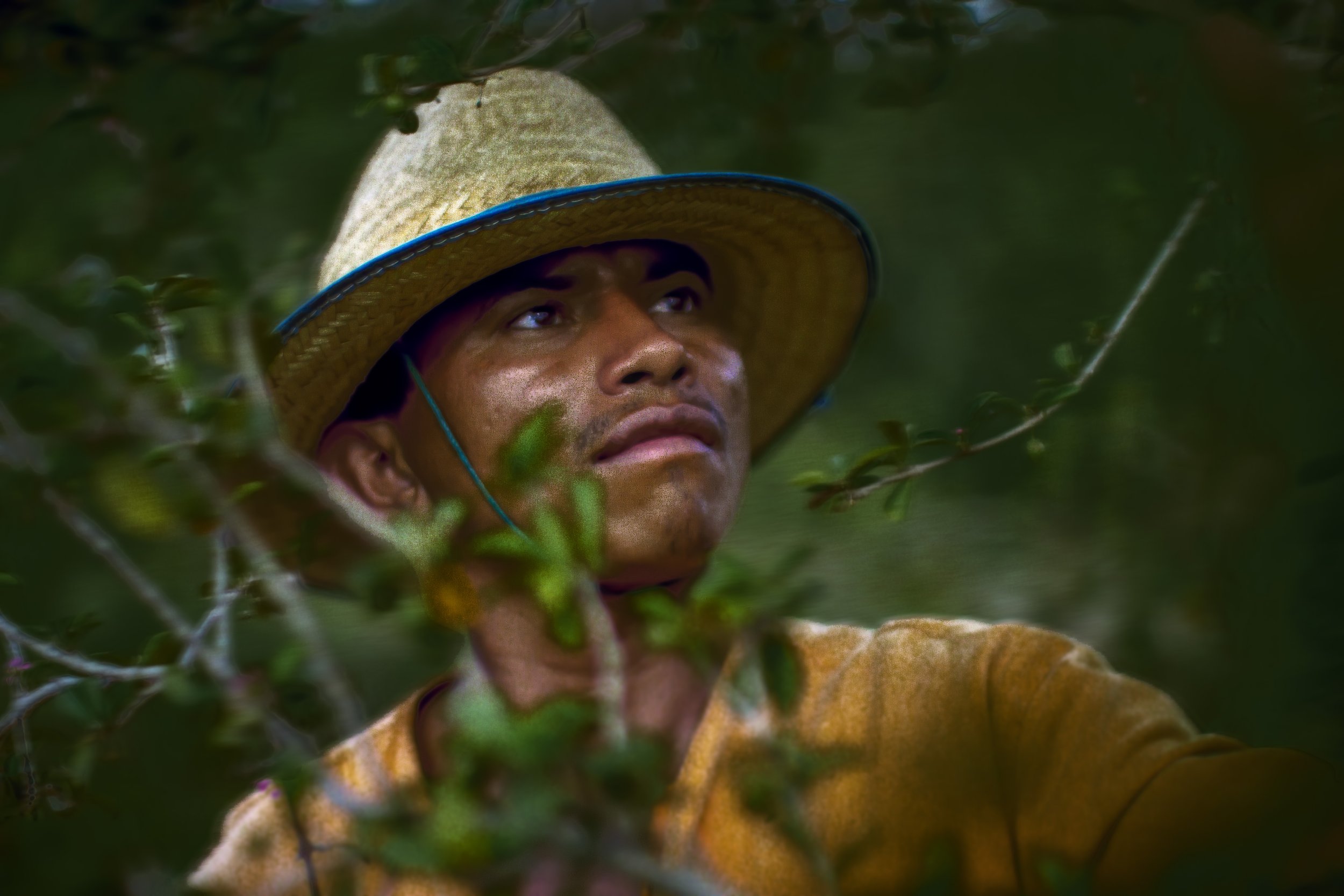 mexico-brazil-organic-farm-worker-award-winning-russell-rutherford-23.jpg.jpg