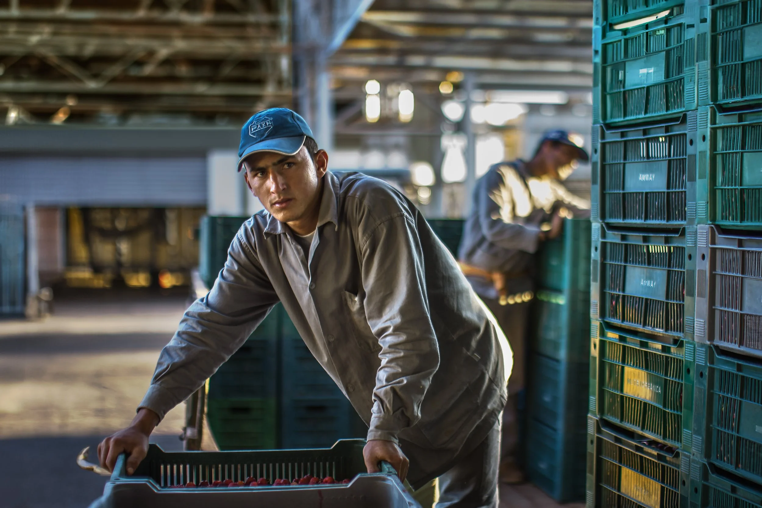 nutrilite brazil warehouse worker russell rutherford.jpg