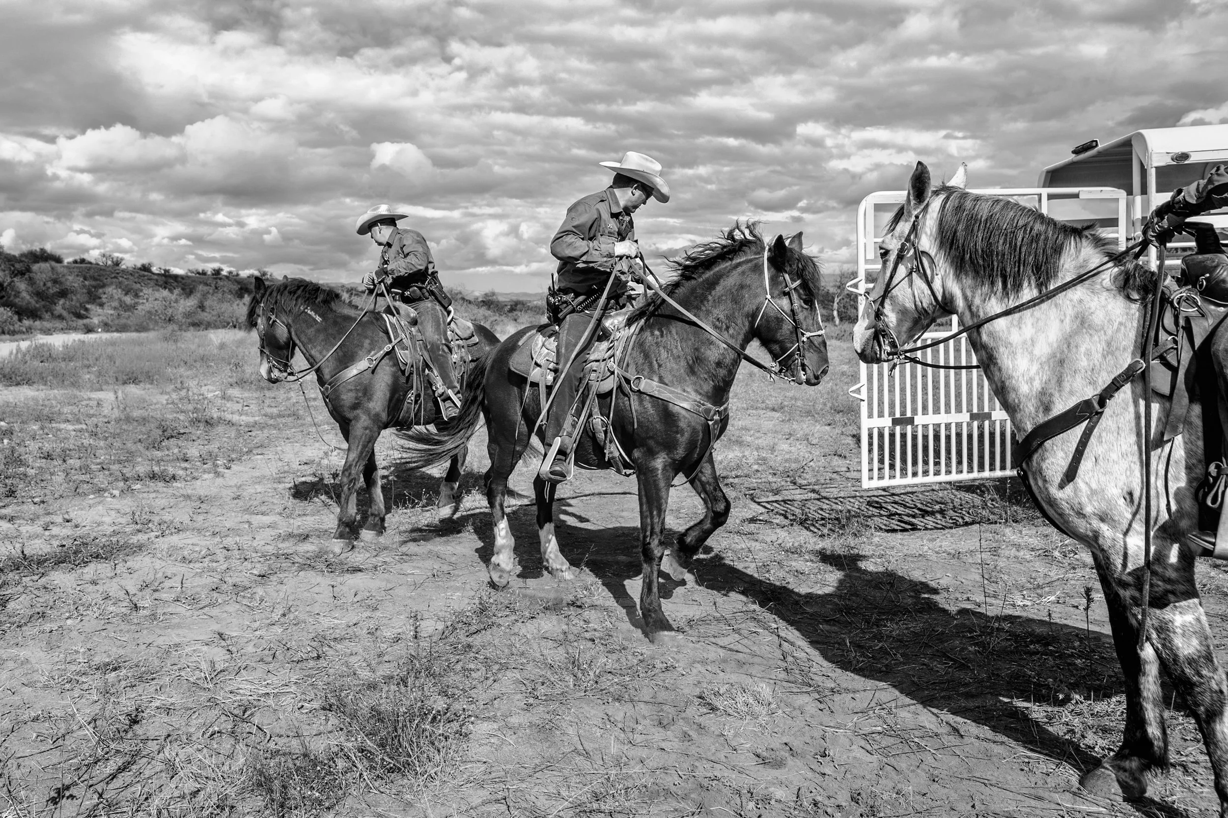 two_horses_final_cbp-Editcopy.jpg