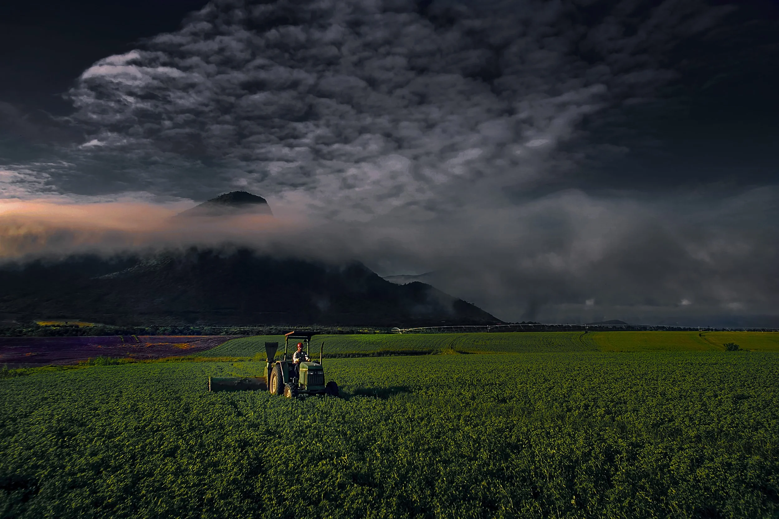 mexico-brazil-organic-farm-worker-award-winning-russell-rutherford-18.jpg.jpg