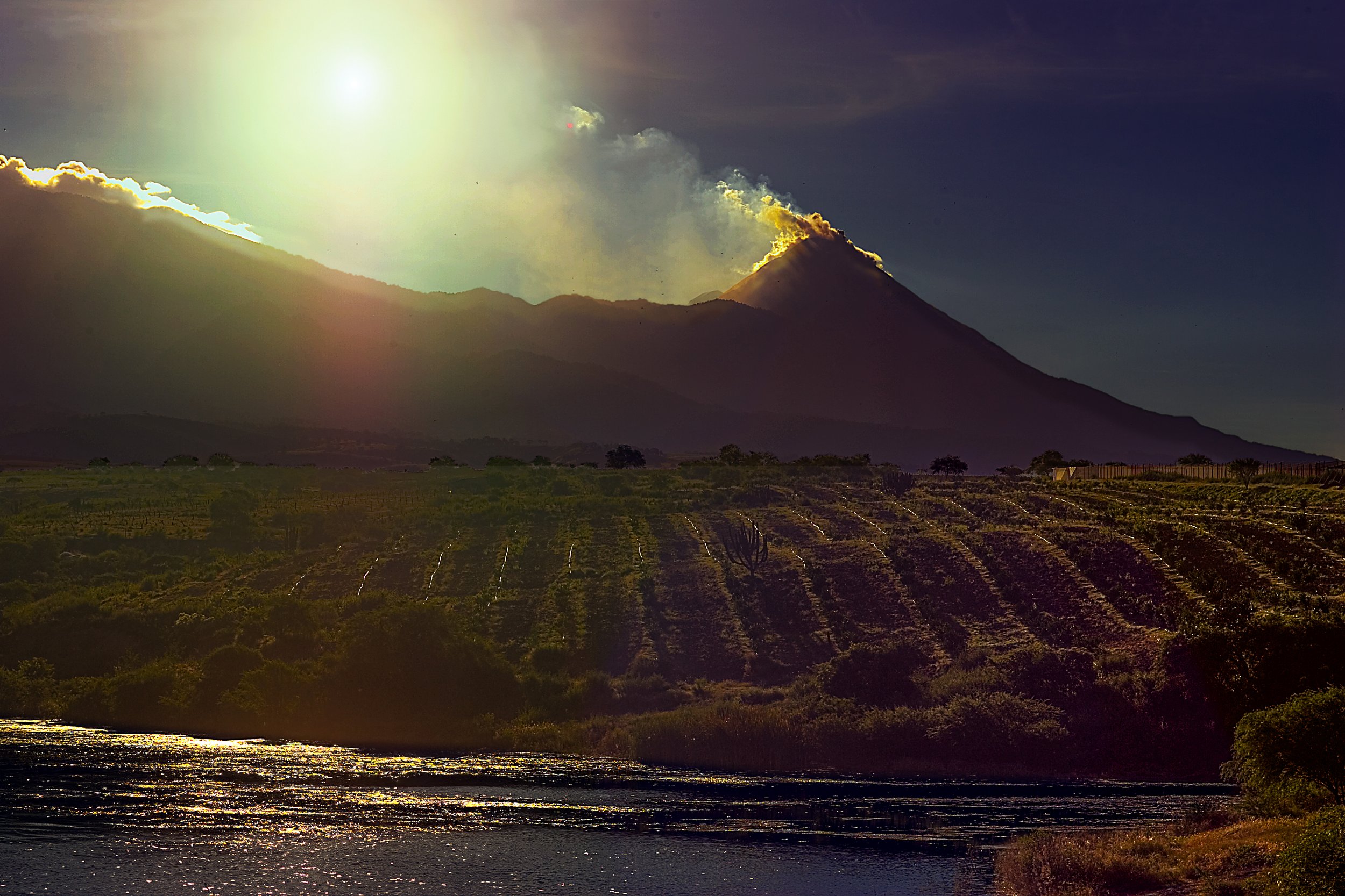 mexico-brazil-organic-farm-worker-award-winning-russell-rutherford-29.jpg.jpg