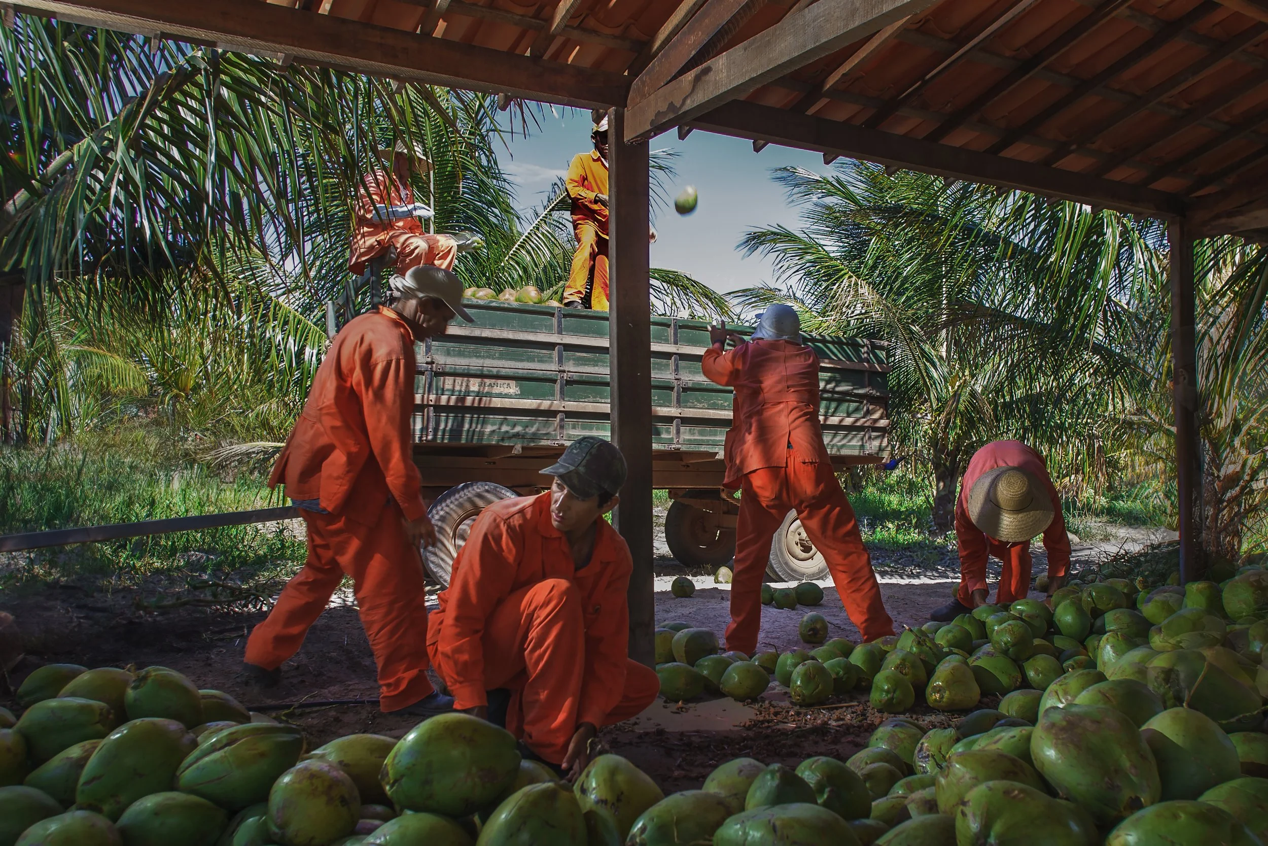 Organic farming brazil_mexico-brazil-organic-farm-worker-award-winning-russell-rutherford-34.jpg.jpg