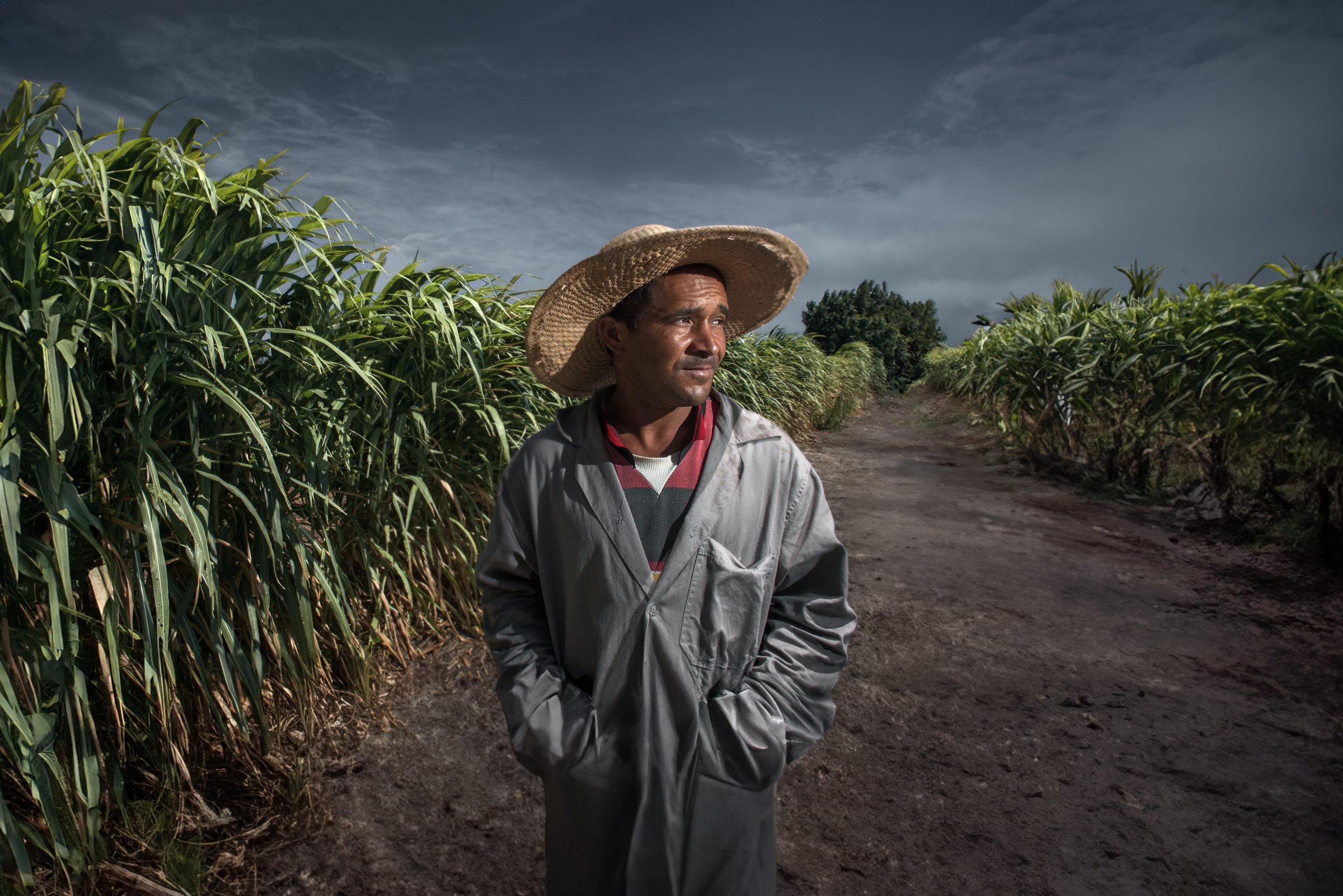 ubajarabrazilfarmworkerrussellrutherfordcopy.jpg